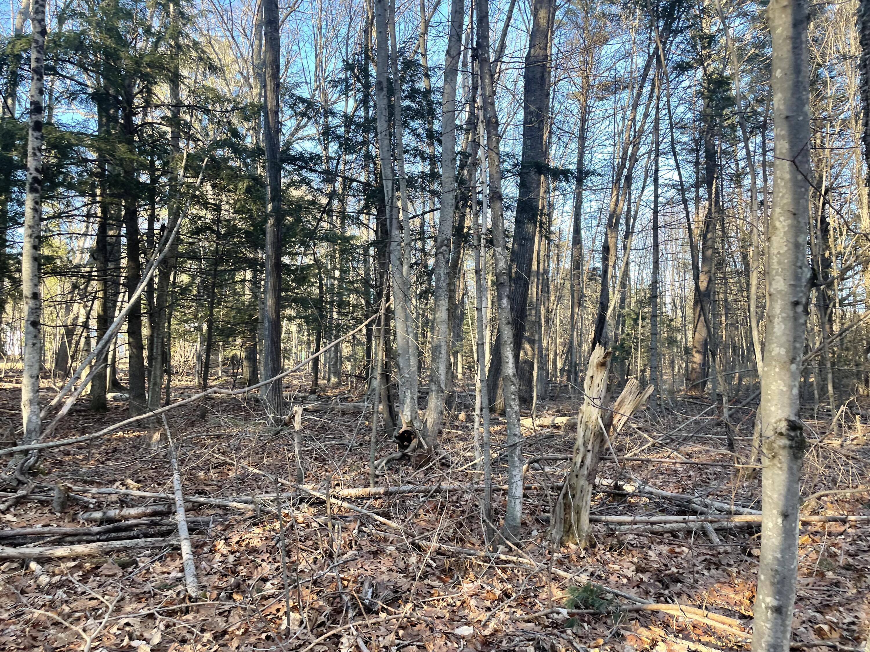 0 Cross Street, Manchester, ME, 04351