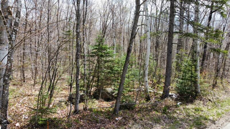 2029 Fox Hollow Road, Carrabassett Valley, ME, 04947