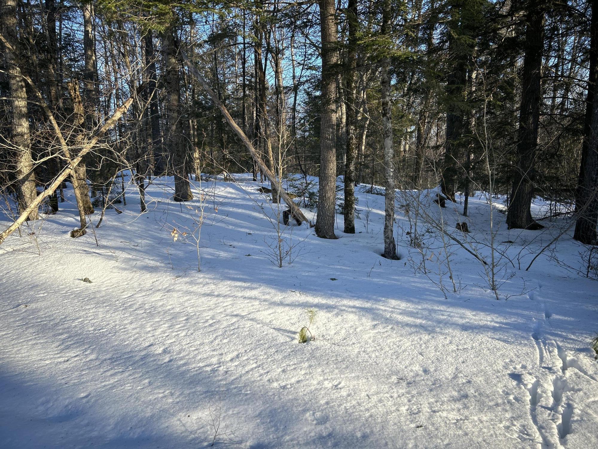 M7L22 Nelson Ridge Road N, Washington, ME, 04574