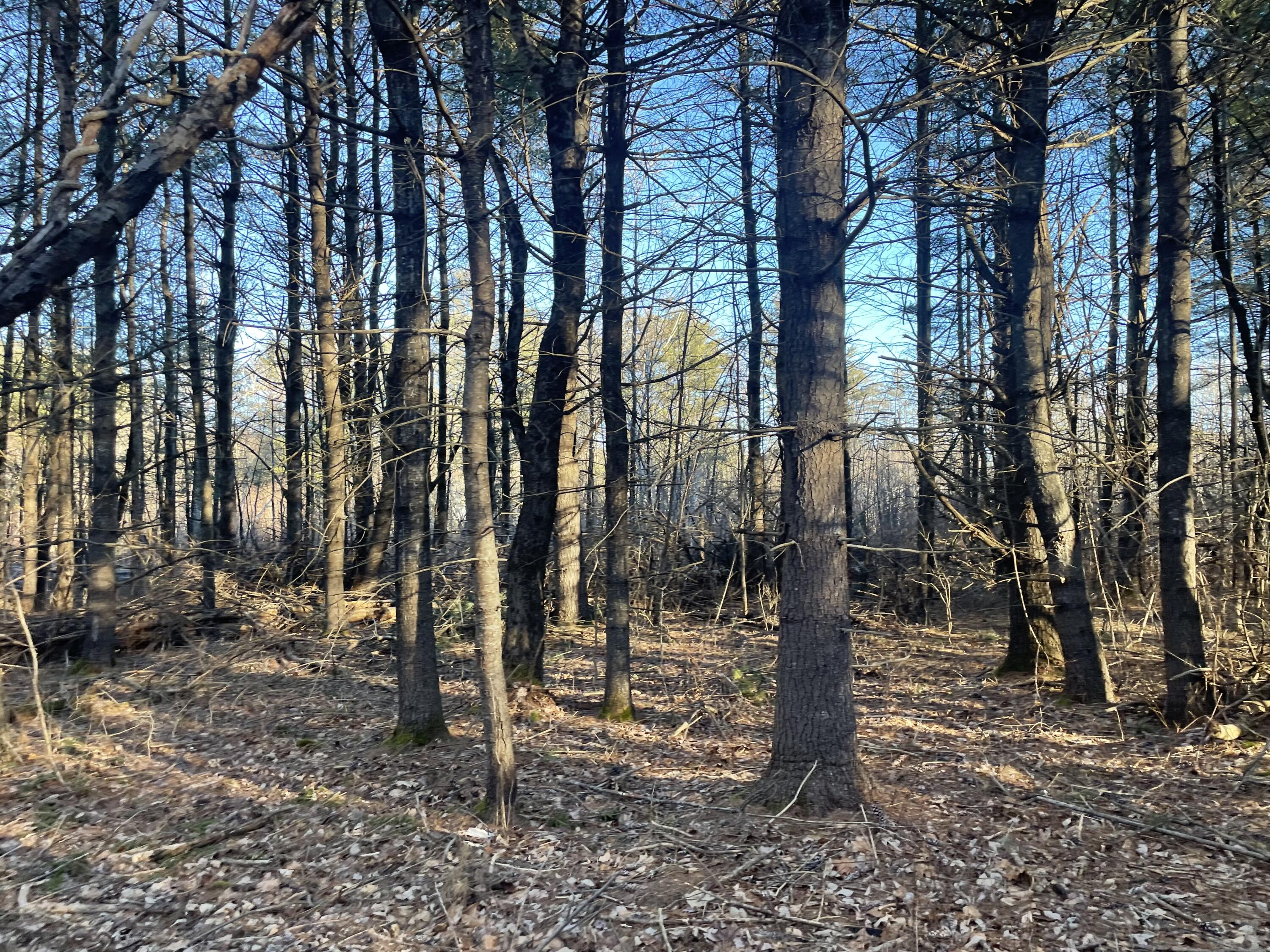 0 Cross Street, Manchester, ME, 04351