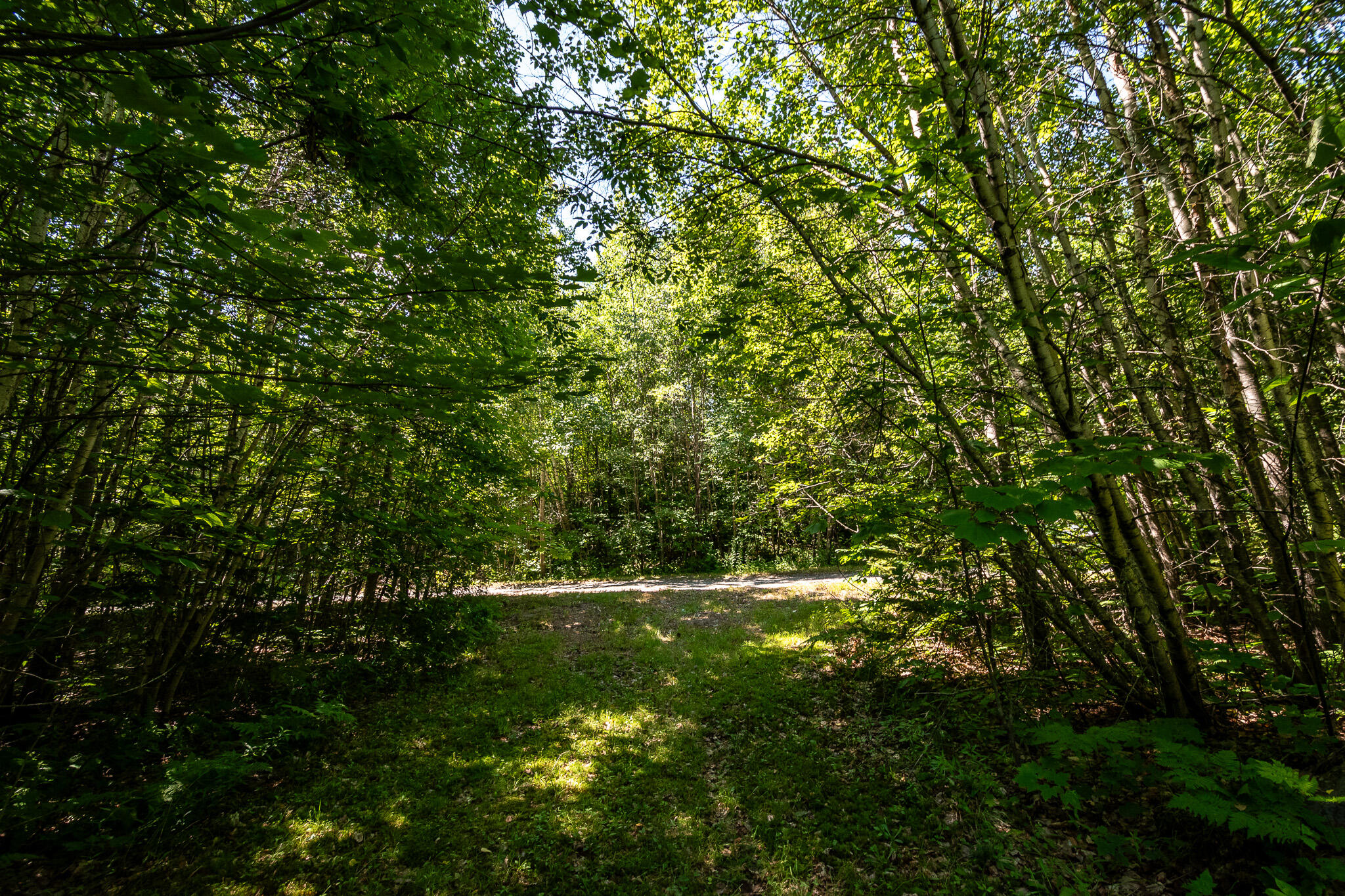 Lot 18-5 Woodland Lane, #Map 2, Brownville, ME 04414 DSC_0276