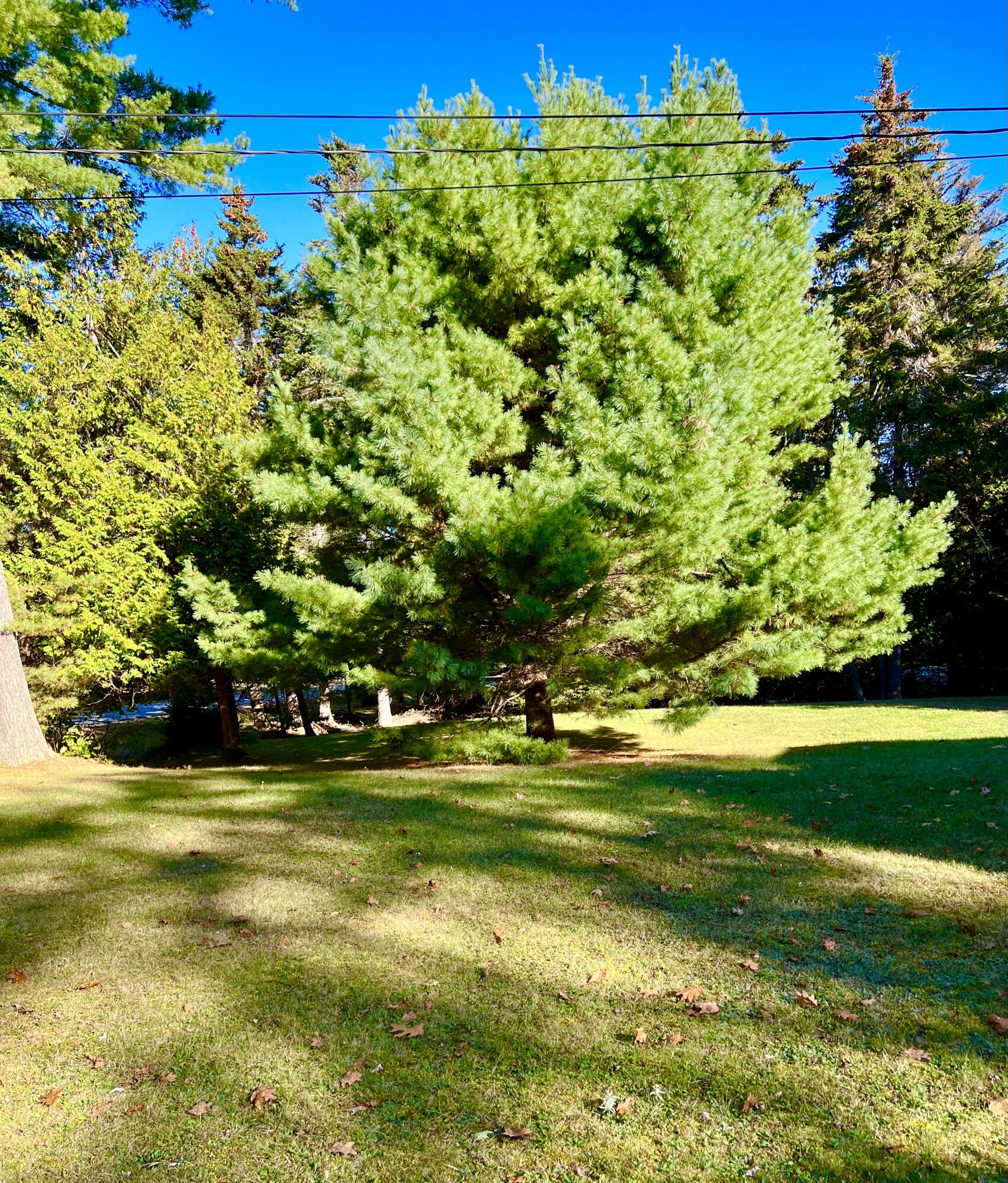 17 Freeman Ridge Road, Southwest Harbor, ME, 04679