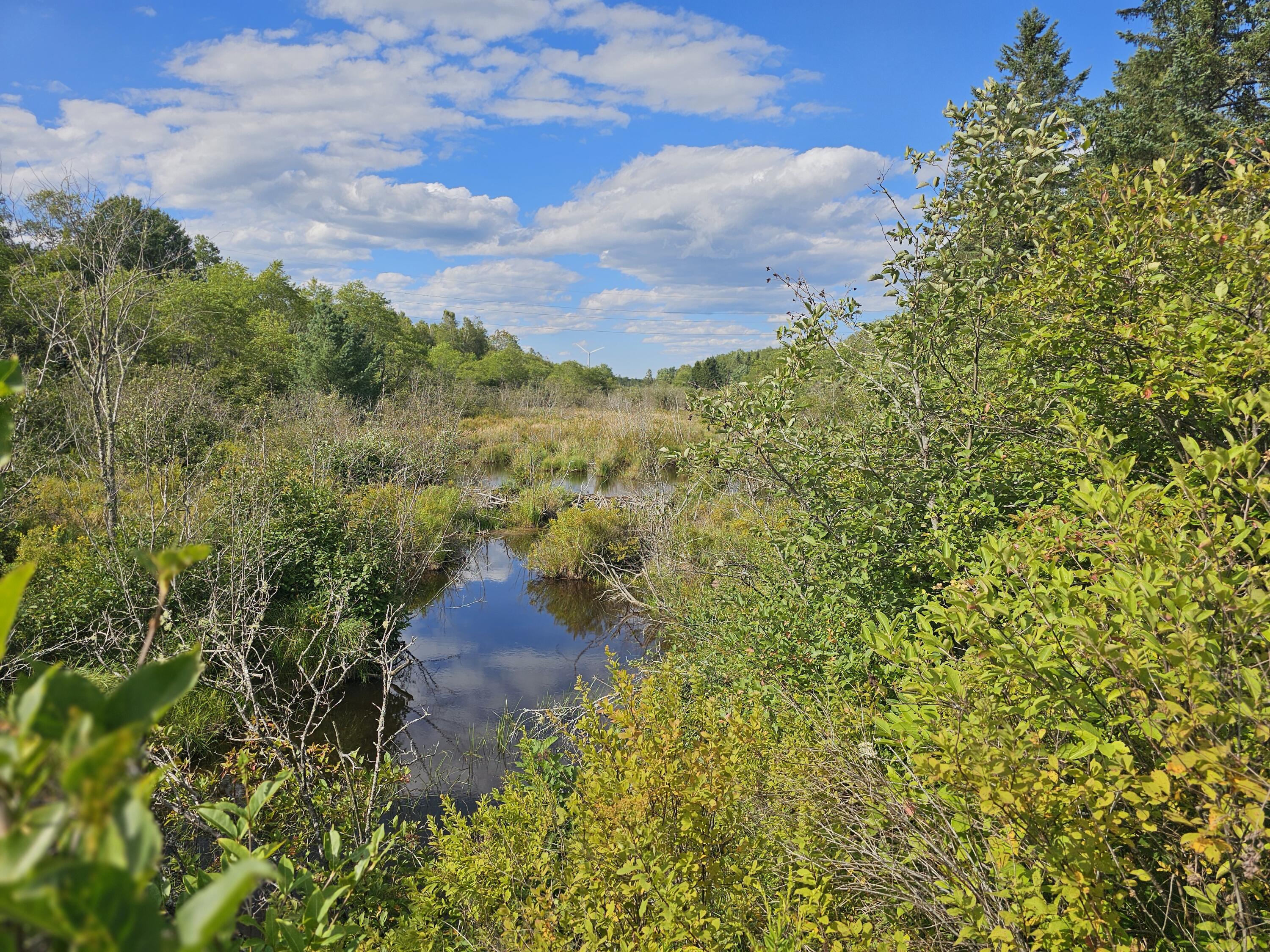 Photo of M2, L4 Off Sacarap Road Columbia ME 04623