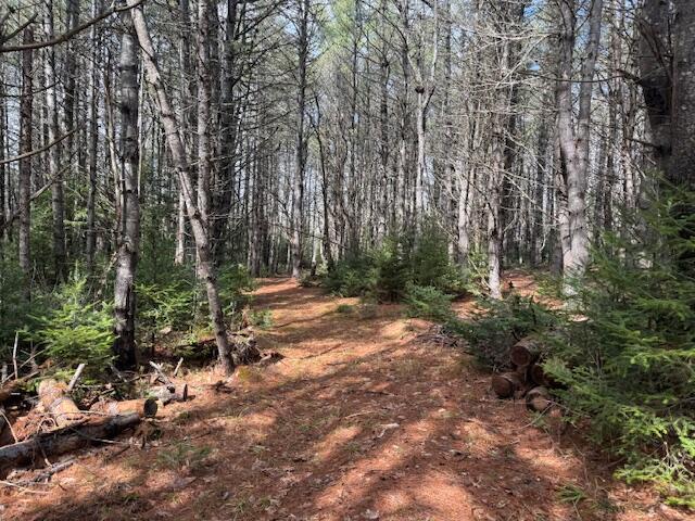 Lot 4 Pigeon Hill Road, Mechanic Falls, ME, 04256