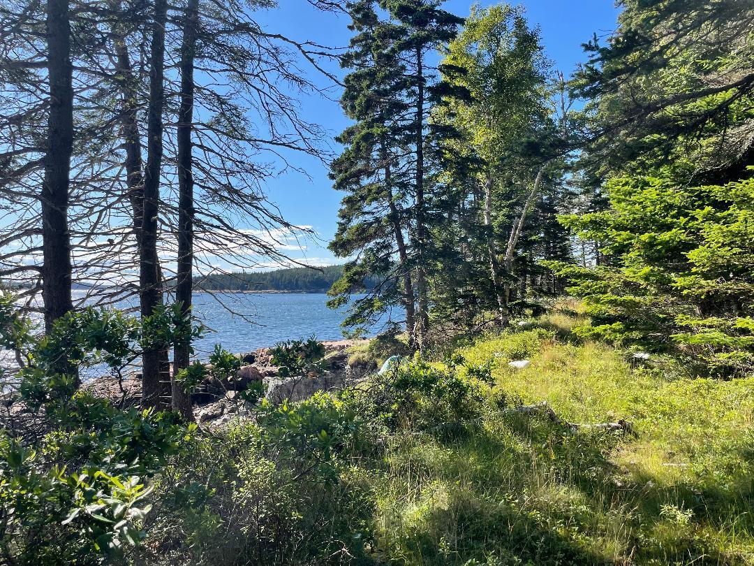 Map 203 Lot 001, Rumford, ME, 04276