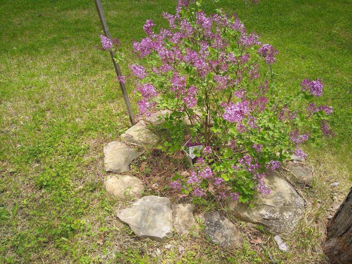 162 Hill Road Road, T1 R9 Wels, ME, 04462