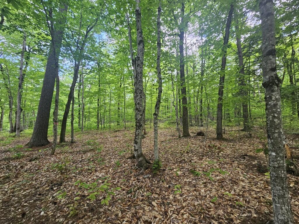 M10L44 Mountain View Road, Fryeburg, ME, 04037