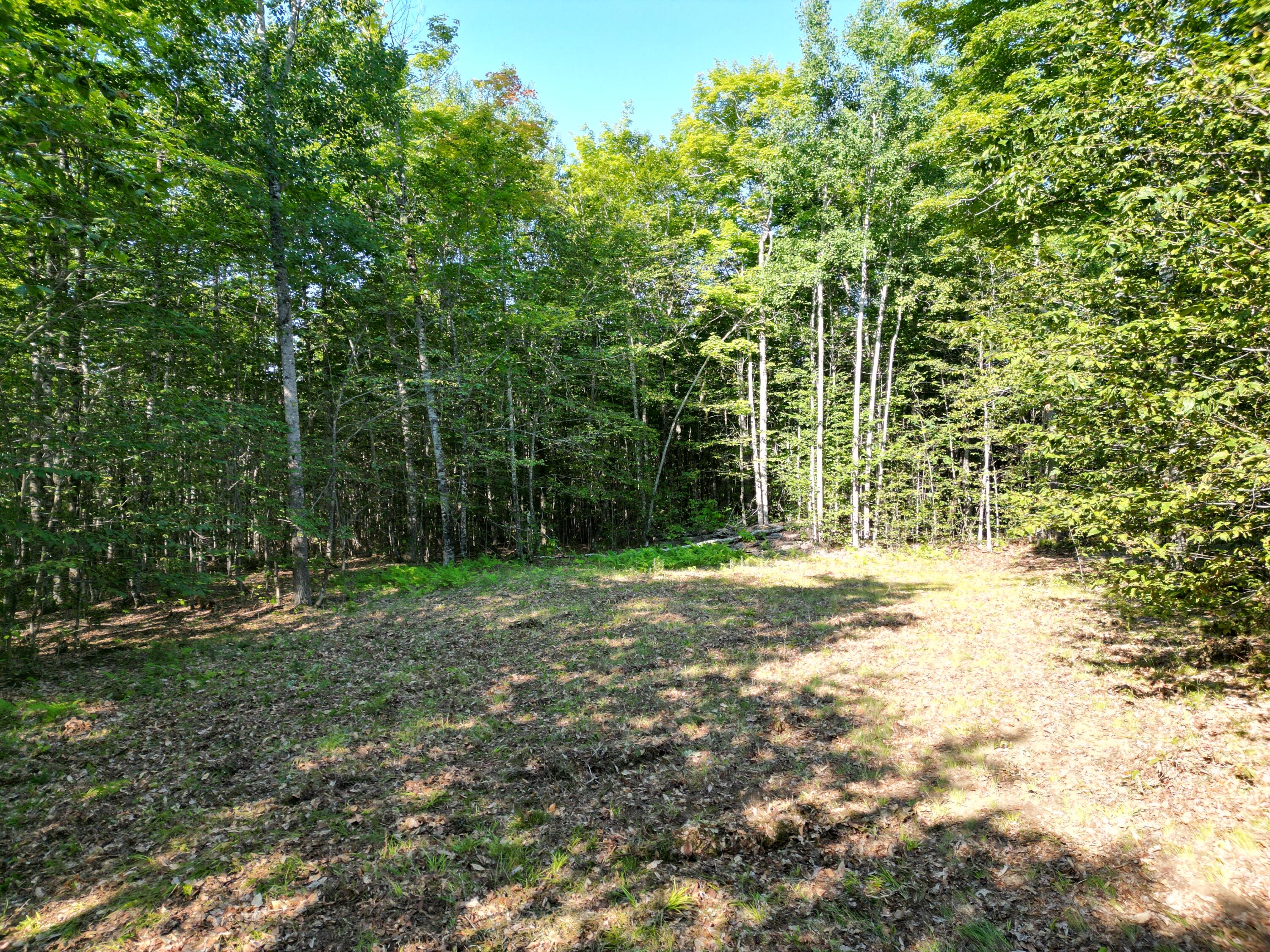 29 Spaulding Lane, Lee, ME 04455 DJI_0974