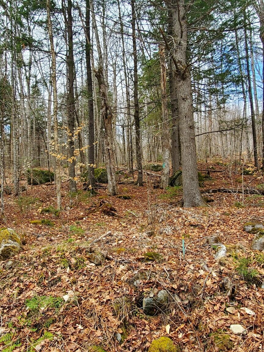 0 Sandy Beach Road, Danforth, ME, 04424