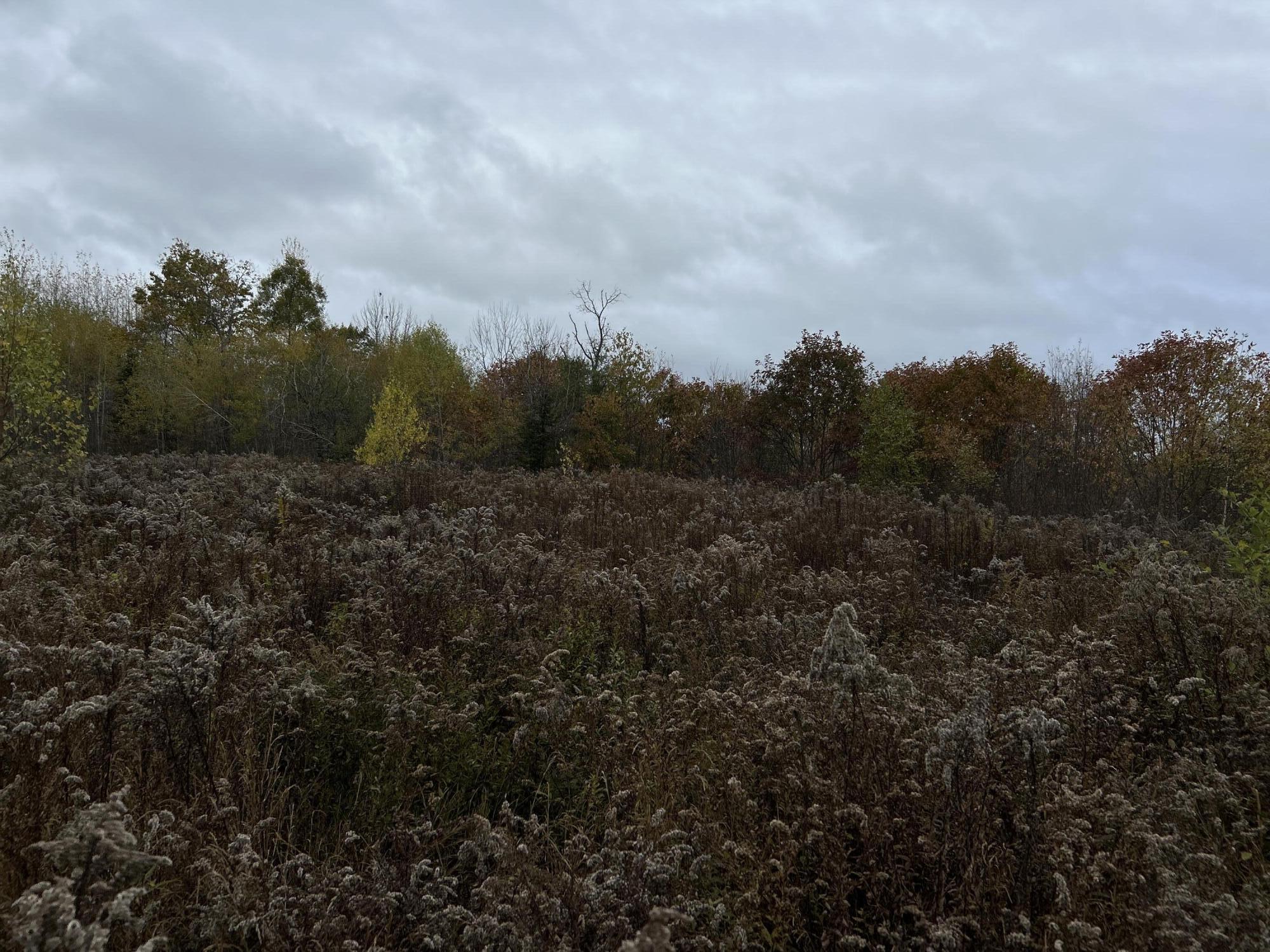 M4L18 Bog Road, Jackson, ME, 04921