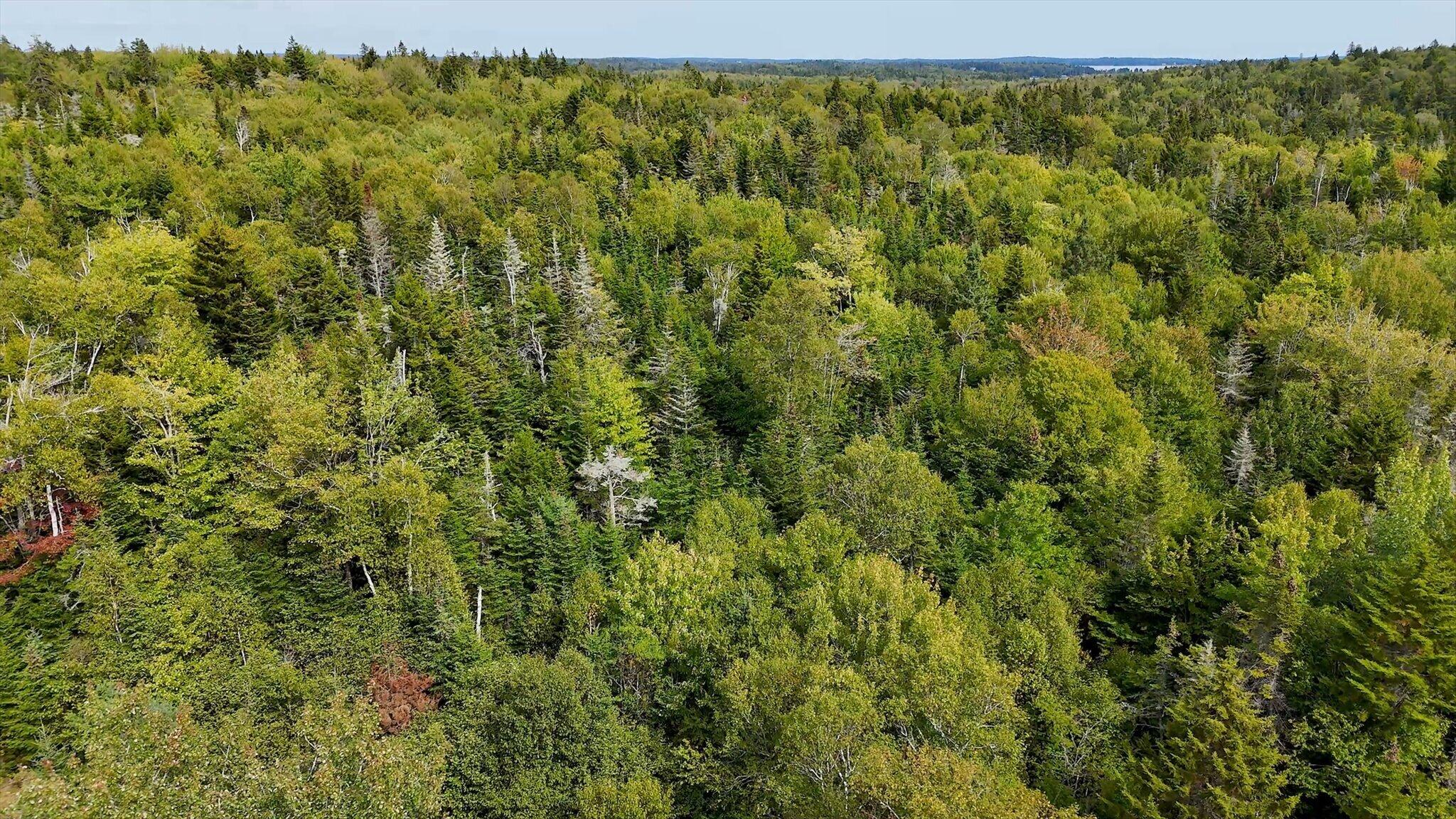 M20L2 East Side Road, Addison, ME, 04606