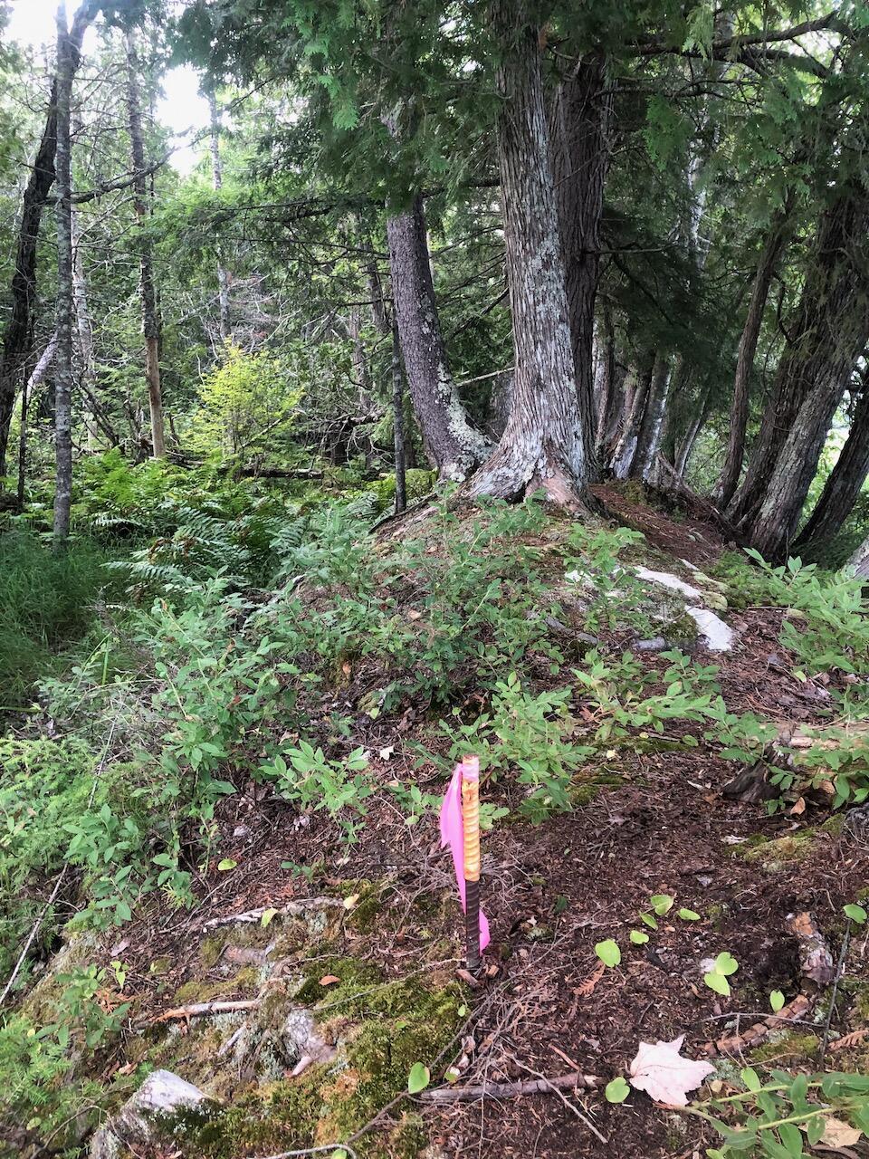 06 Swett Brook Lane, Weld, ME, 04285