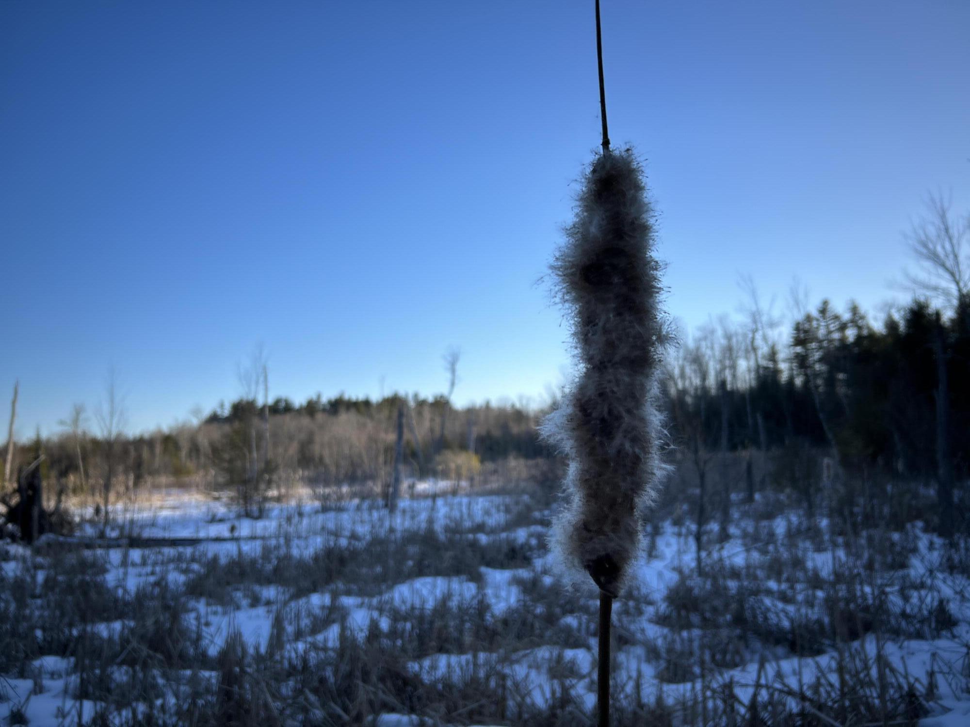 M7L22 Nelson Ridge Road N, Washington, ME, 04574