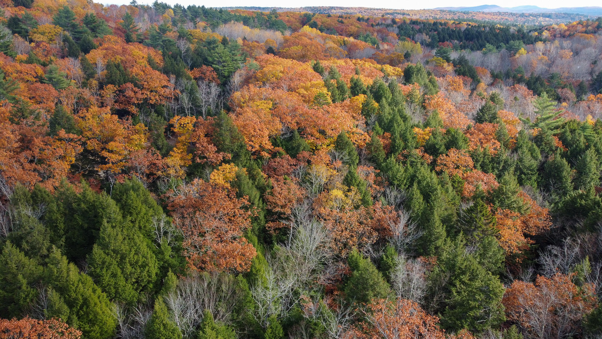 Lot 2 Darci Lane, Montville, ME, 04941