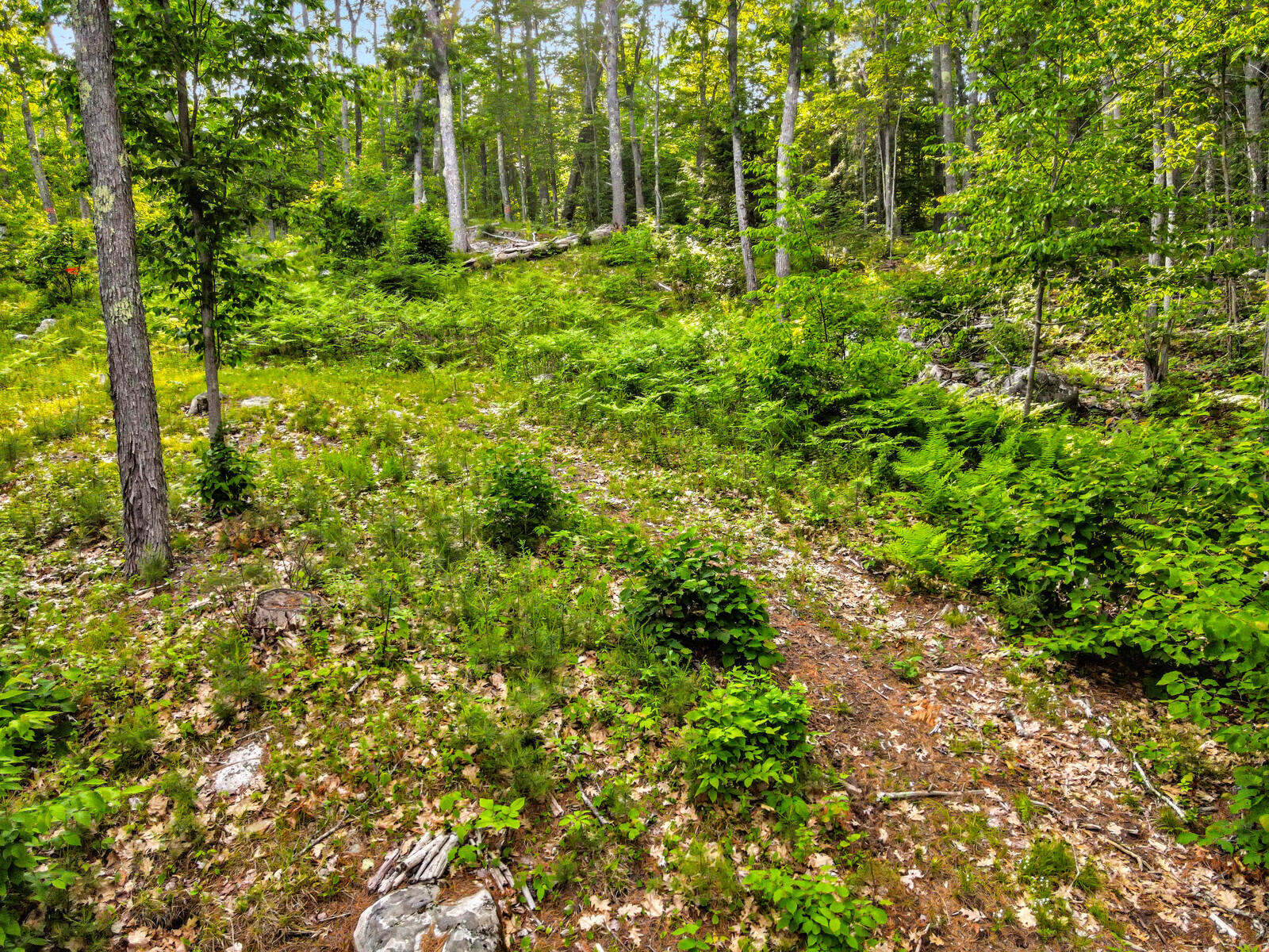 977 Alna Road, Alna, ME, 04535