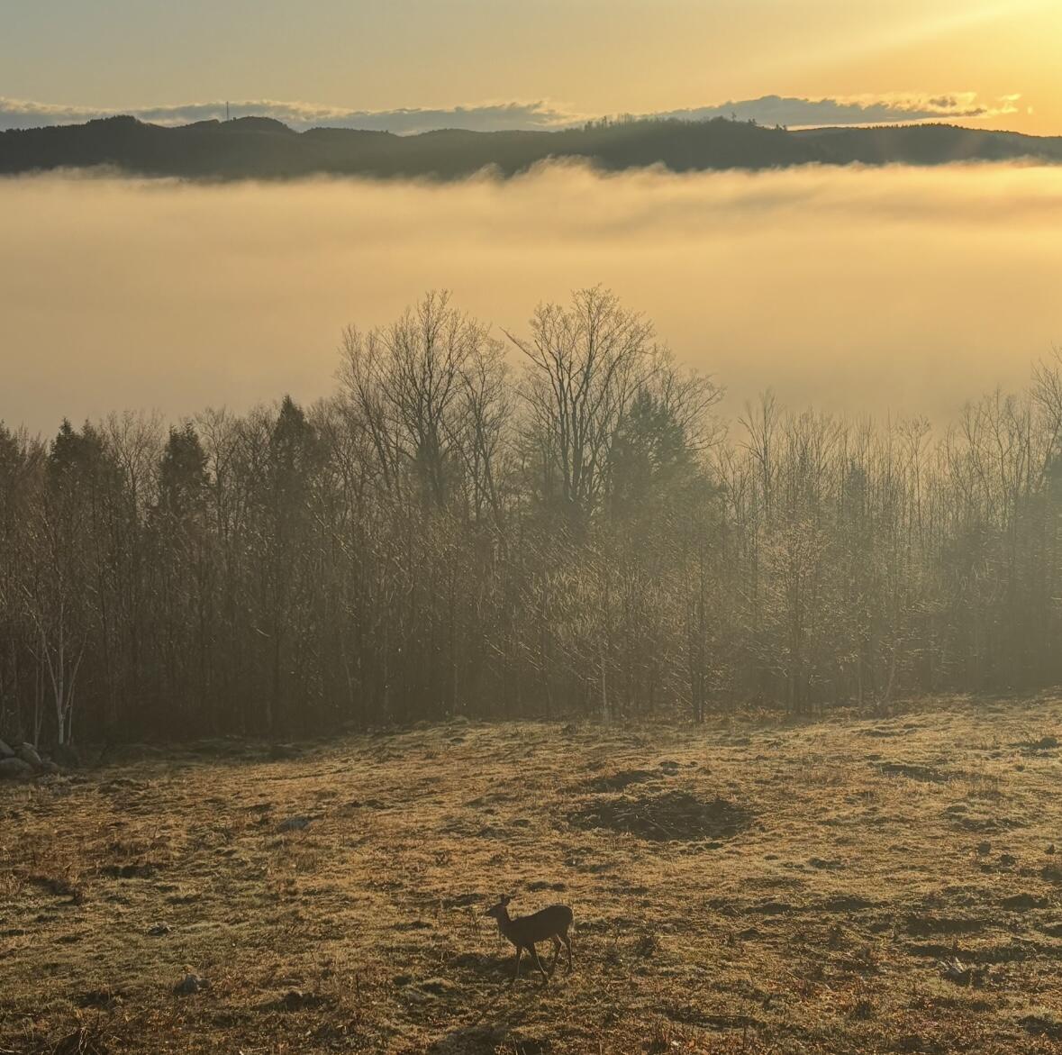 1882 North Road, Cornish, ME, 04020