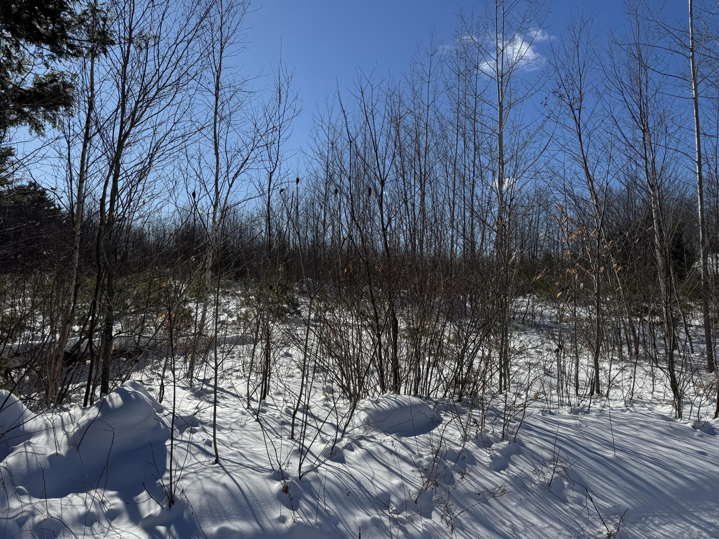 Lot 29-3 Seaward Mills Road, Vassalboro, ME, 04989