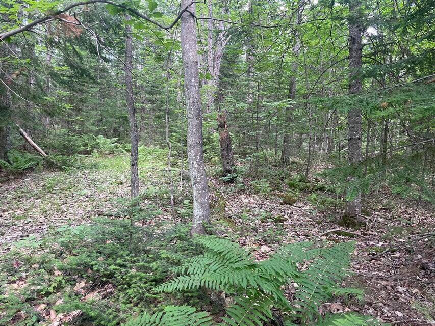 80 Gammon Road, Peru, ME, 04290