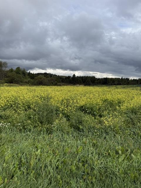 Photo of 2 Charette Hill Road Fort Kent ME 04743