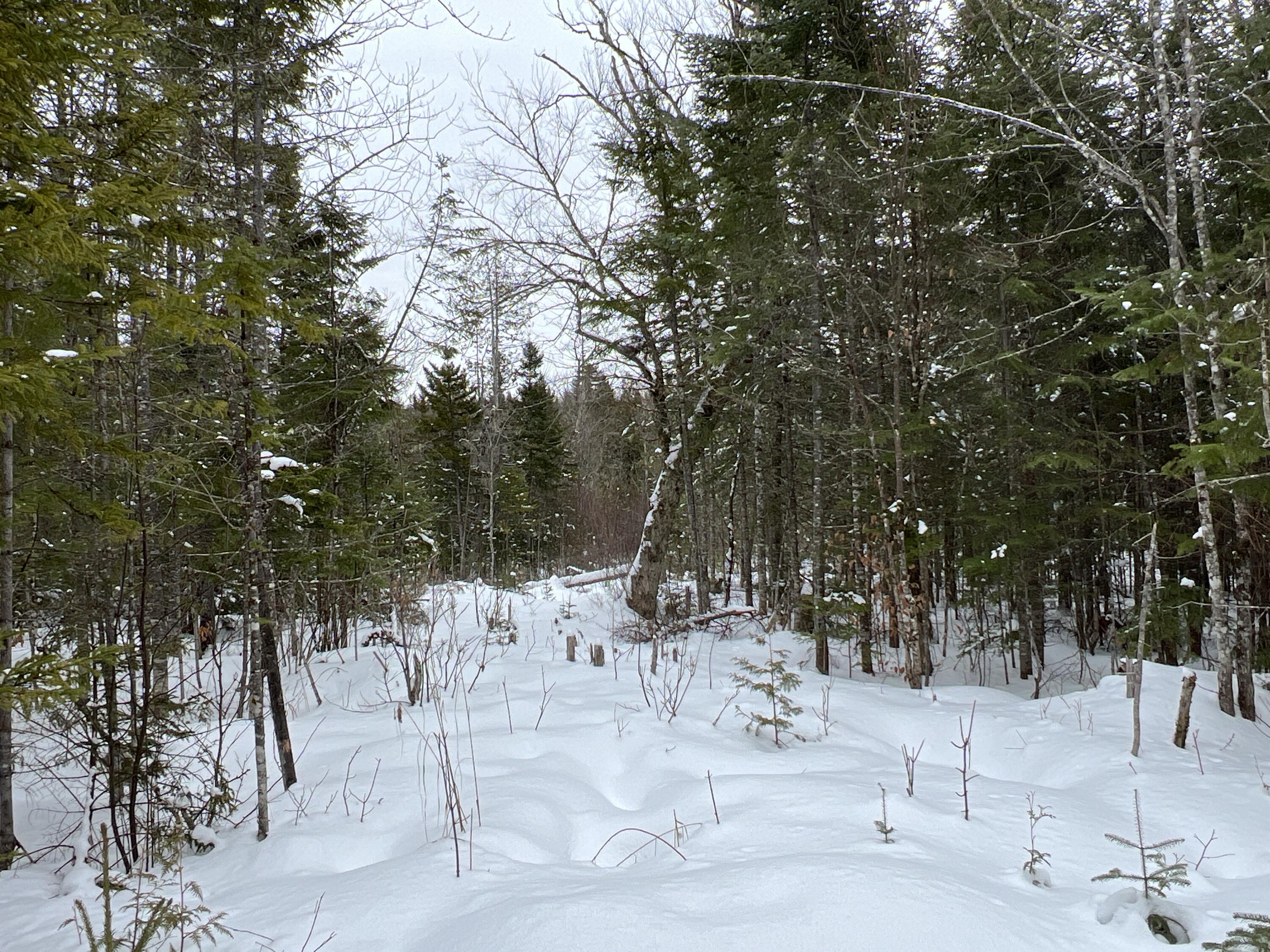 Lot 2-18 Shin Pond Road, Mount Chase, ME, 04765
