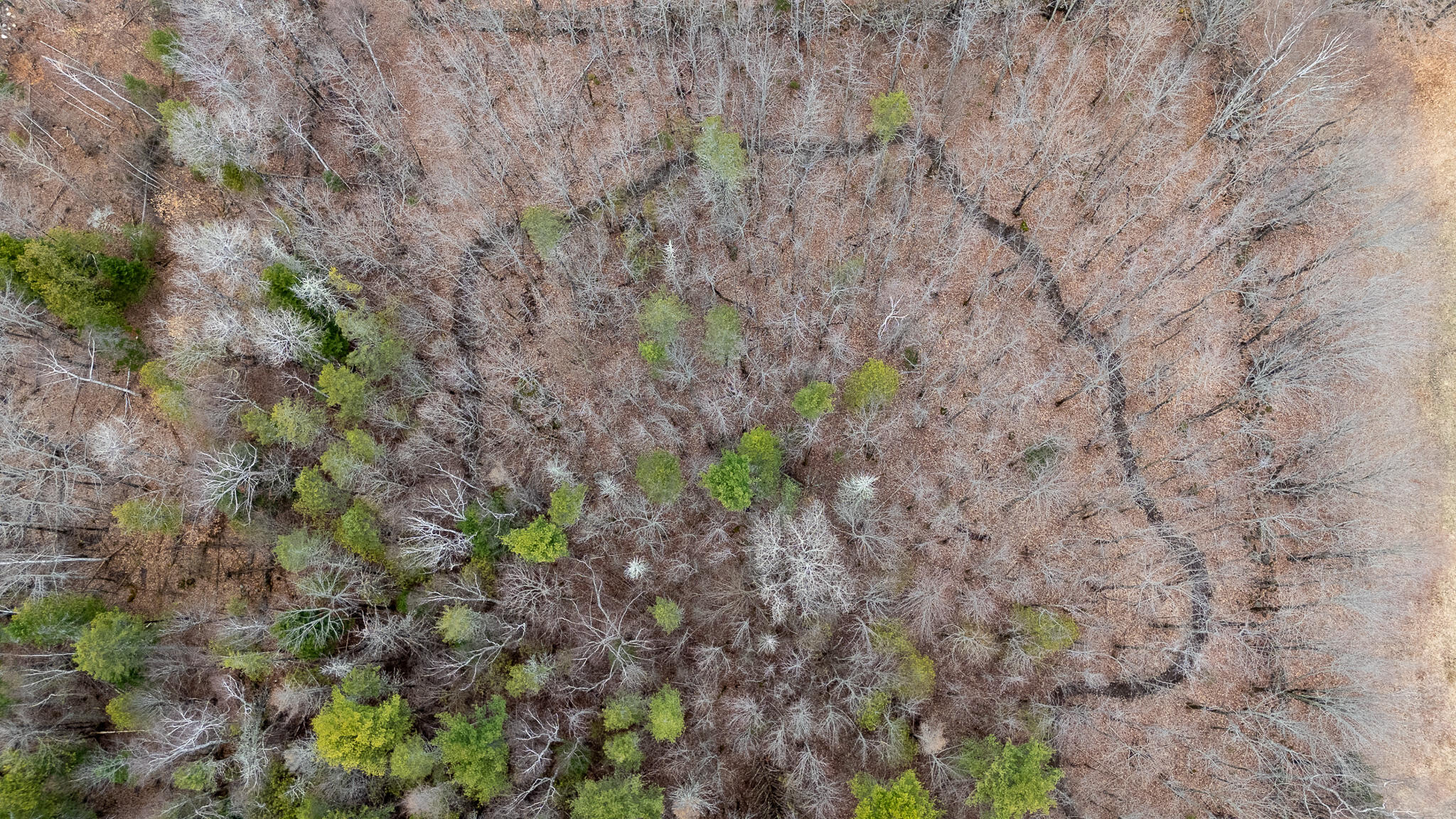 317 Milo Road, Sebec, ME, 04481