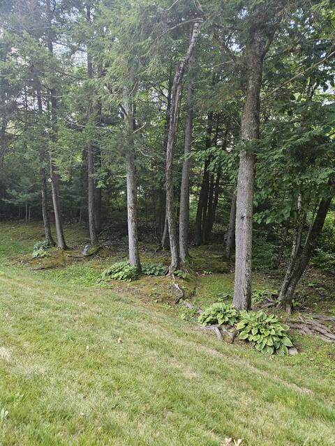 39.3 Side of woods lanscaping
