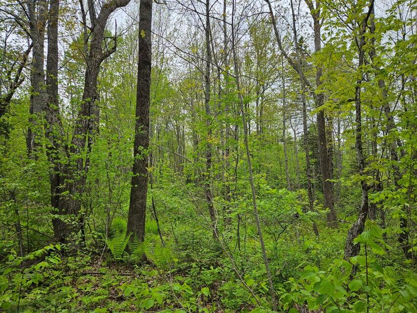 681 Mile Hill Road, New Sharon, ME, 04955