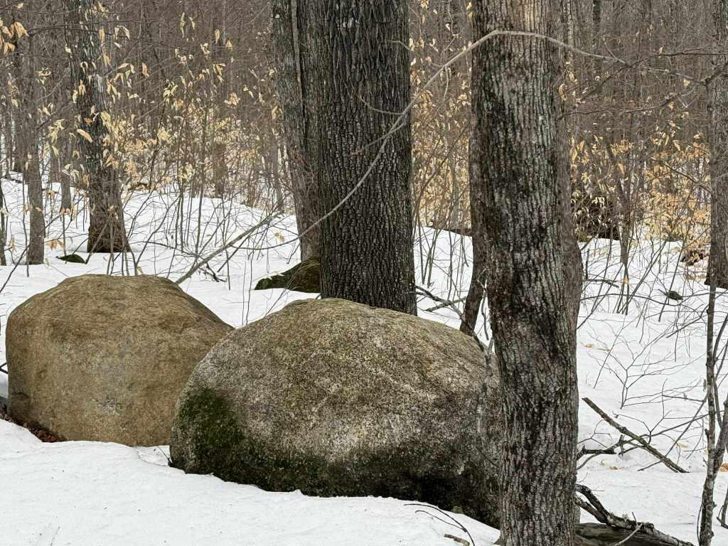 Lot 005 Greenwood Brook Road, Industry, ME, 04938