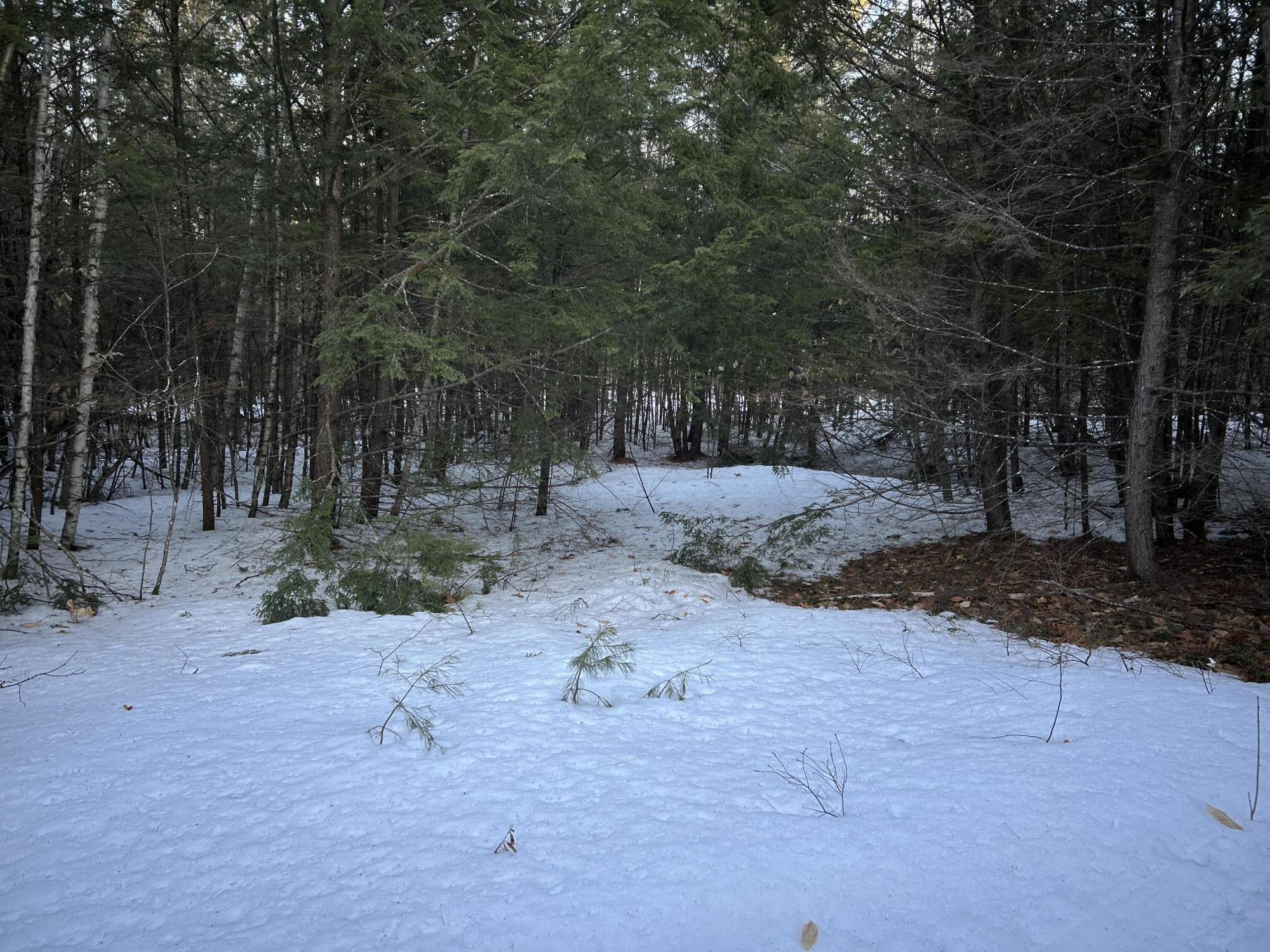Map13Lot11 Field View Road, Fryeburg, ME, 04037