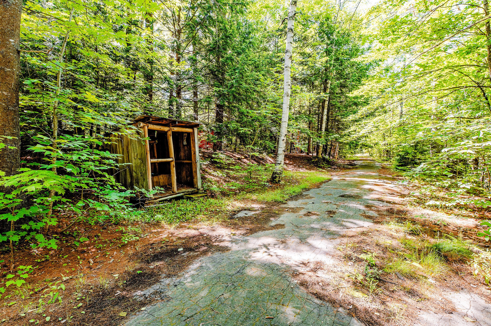 1574 Roxbury Road, Roxbury, ME 04275 Walking Trail/Path