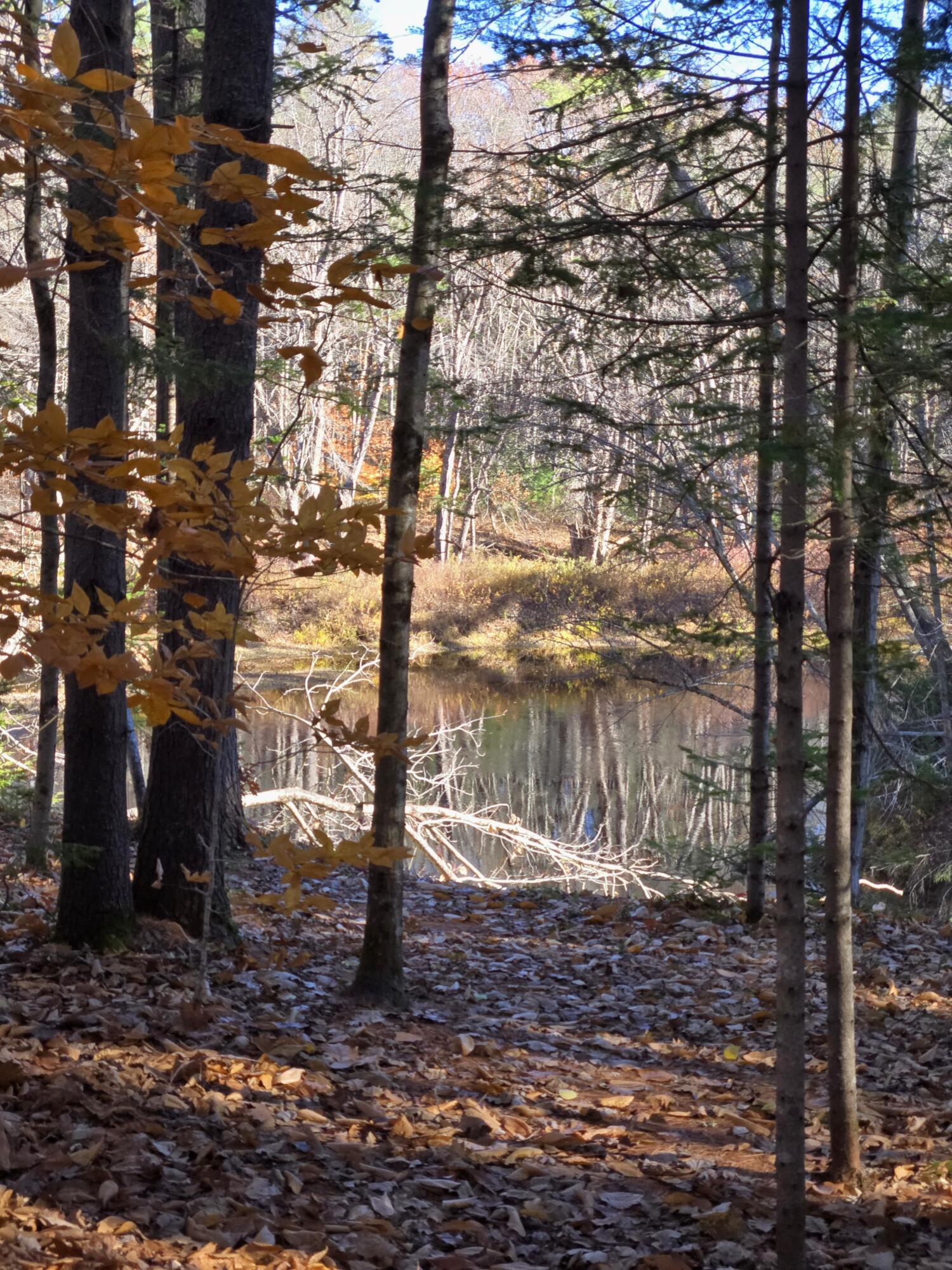 31 Sand Road, Naples, ME, 04055