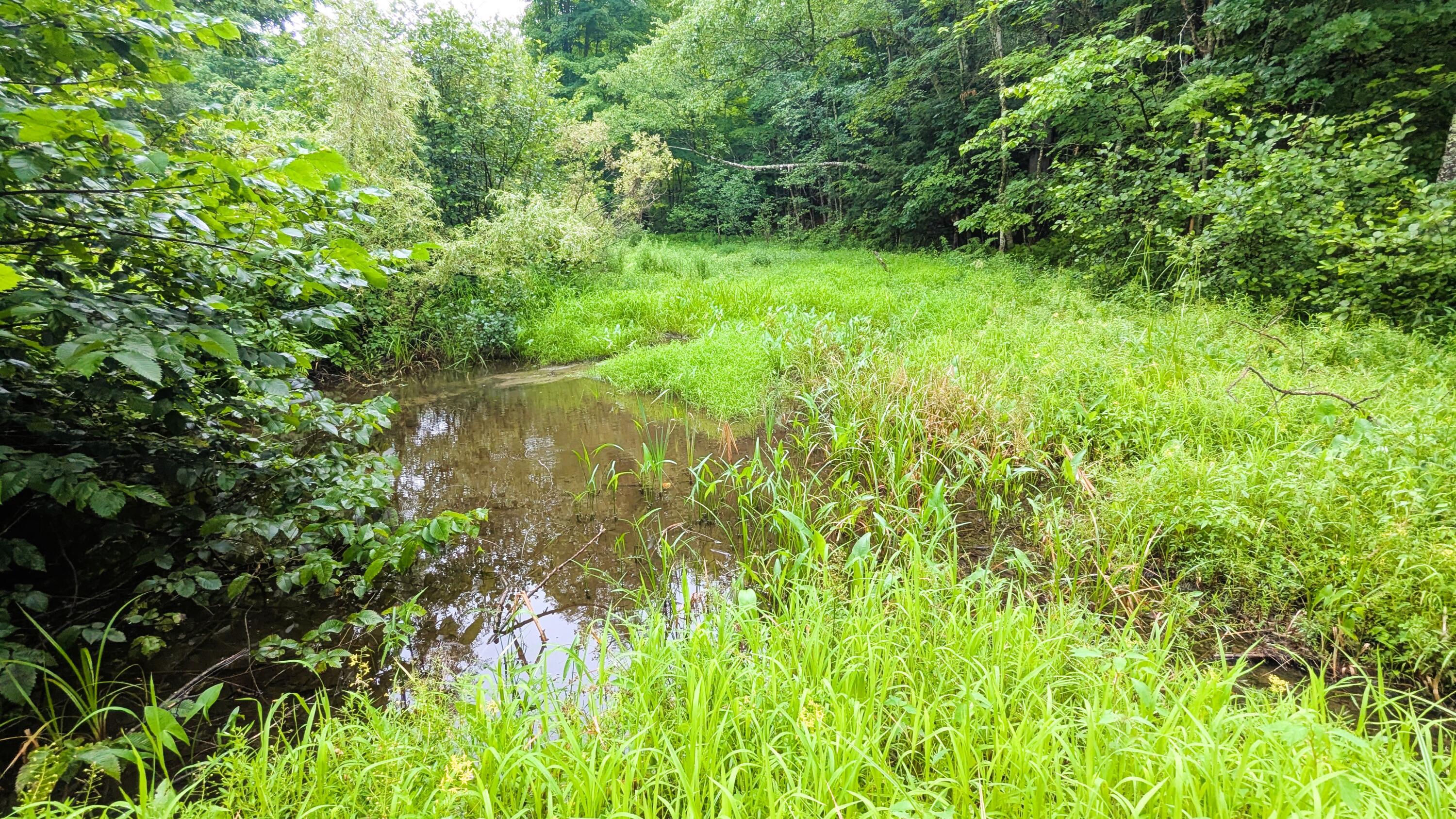 29 Kents Hill Road, Wayne, ME, 04284