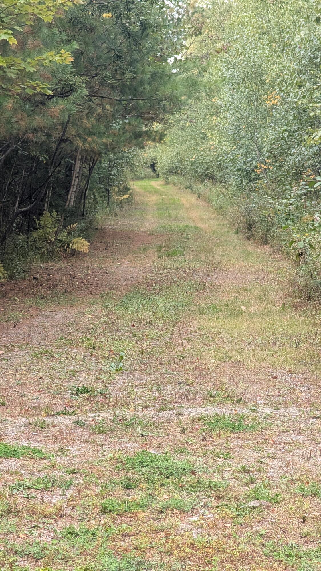Photo of Lot 19 Cram  Street Bradley ME 04411