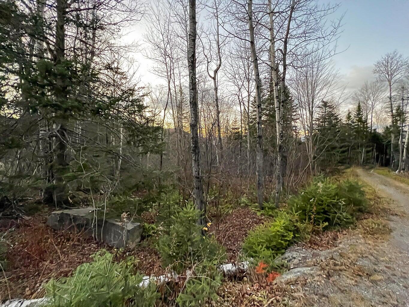 Lot 16 Mill Brook Road, Sandy River Plt, ME, 04970