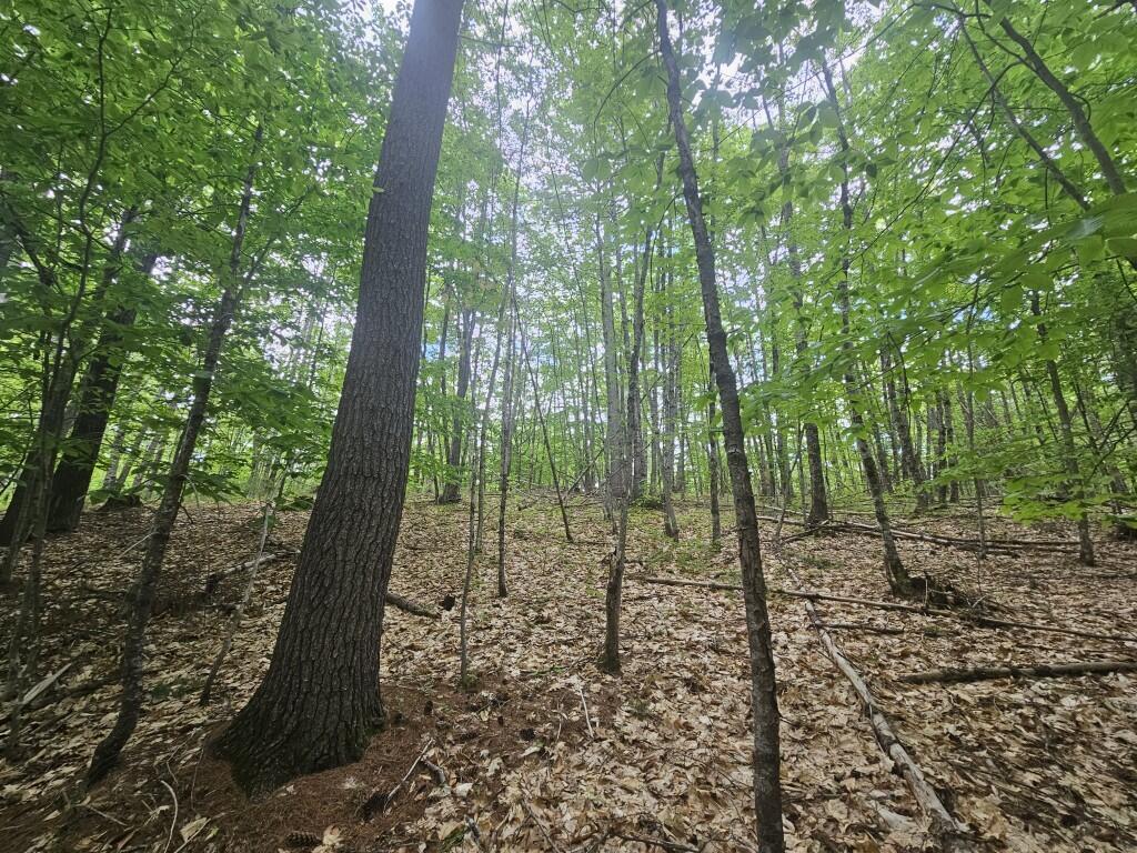 M10L44 Mountain View Road, Fryeburg, ME, 04037