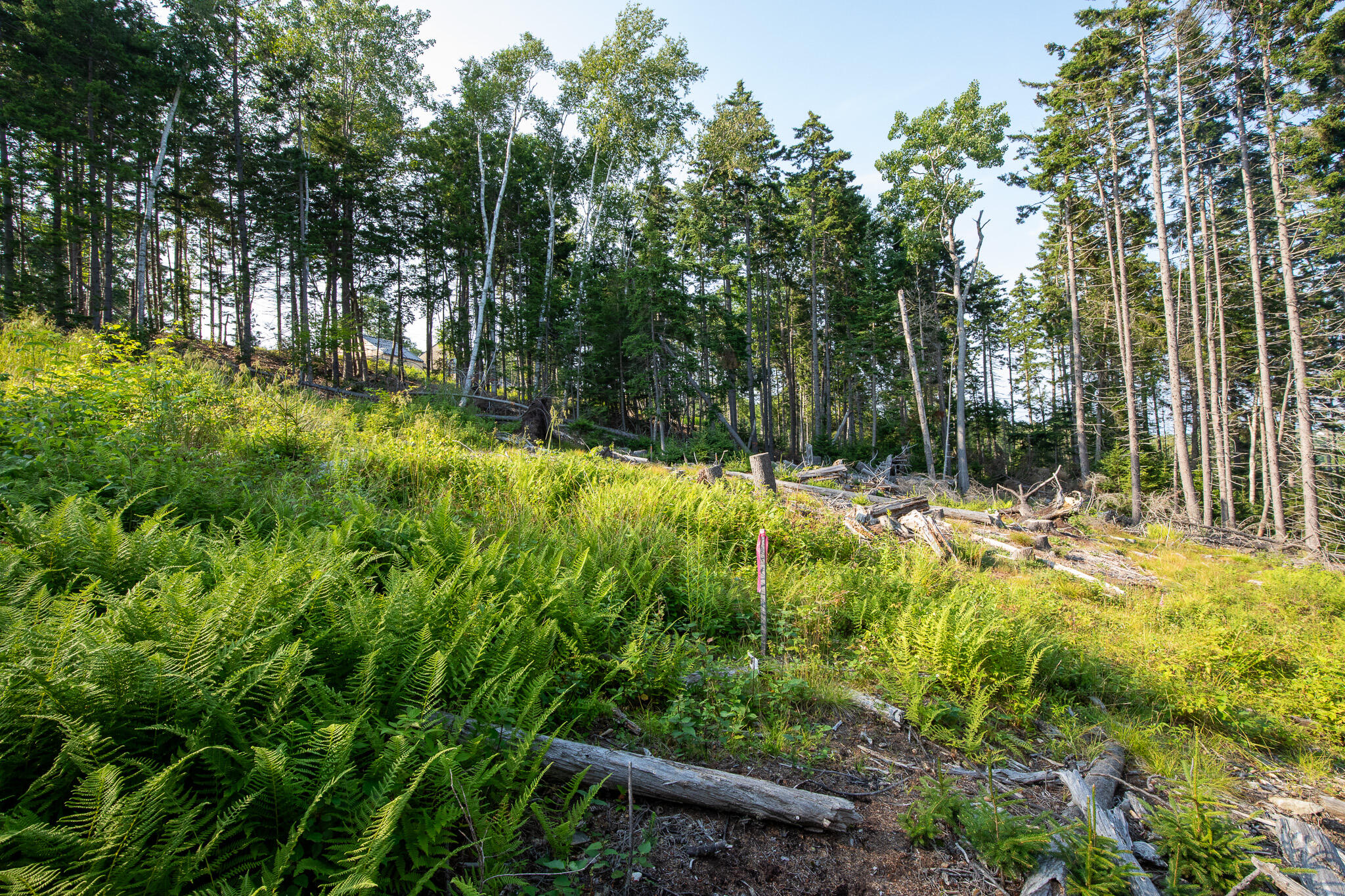 0 Bayview Road UNIT 2, Harpswell, ME, 04066