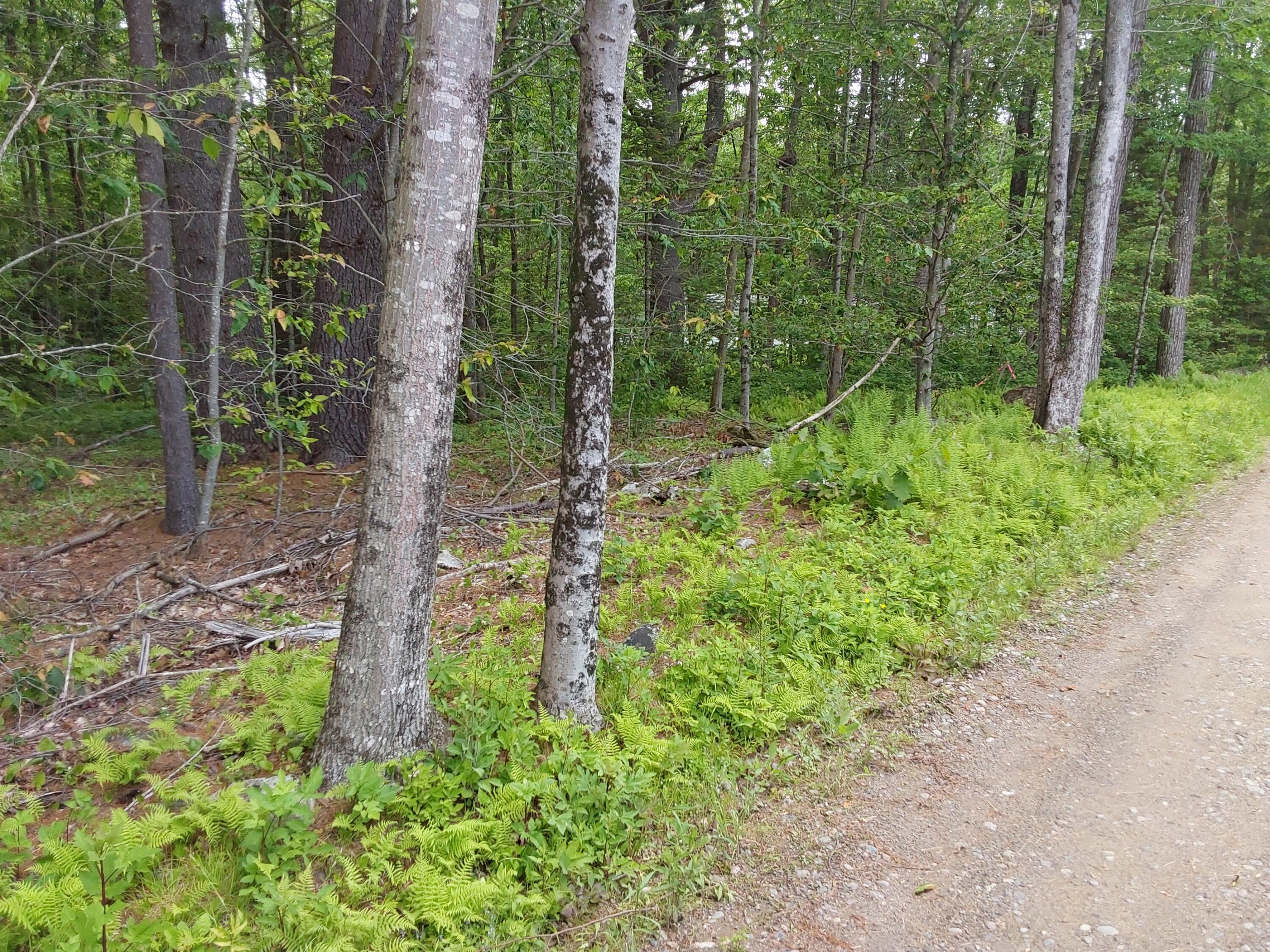 M19-L16-1 Augsuta Road, Jefferson, ME, 04348