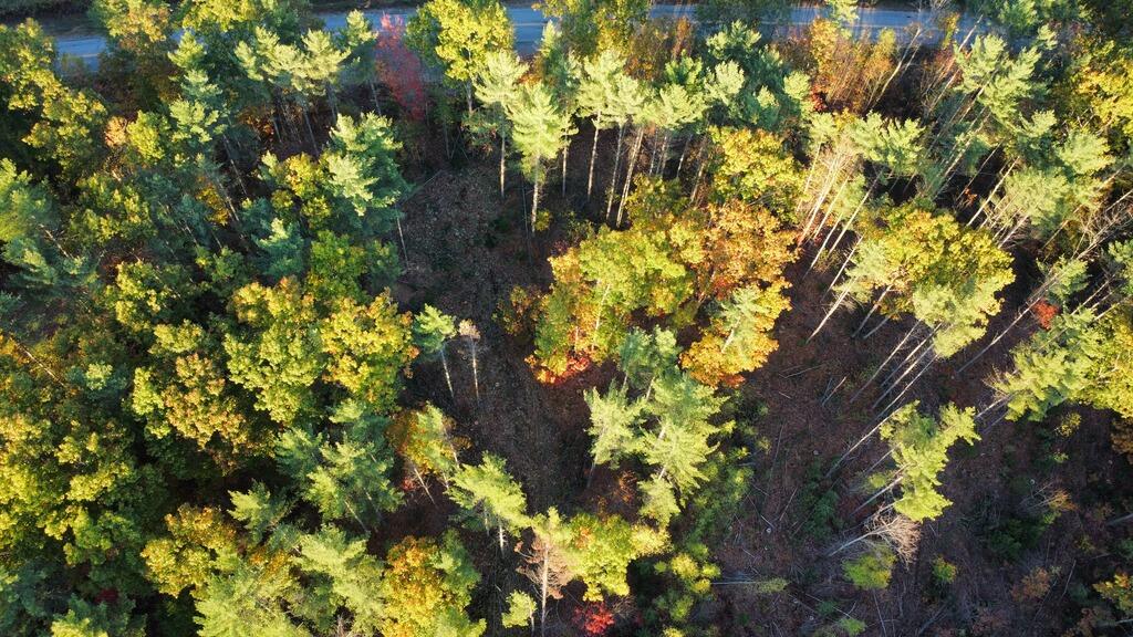 Lot 16 (1) Whittier Road, Farmington, ME, 04938