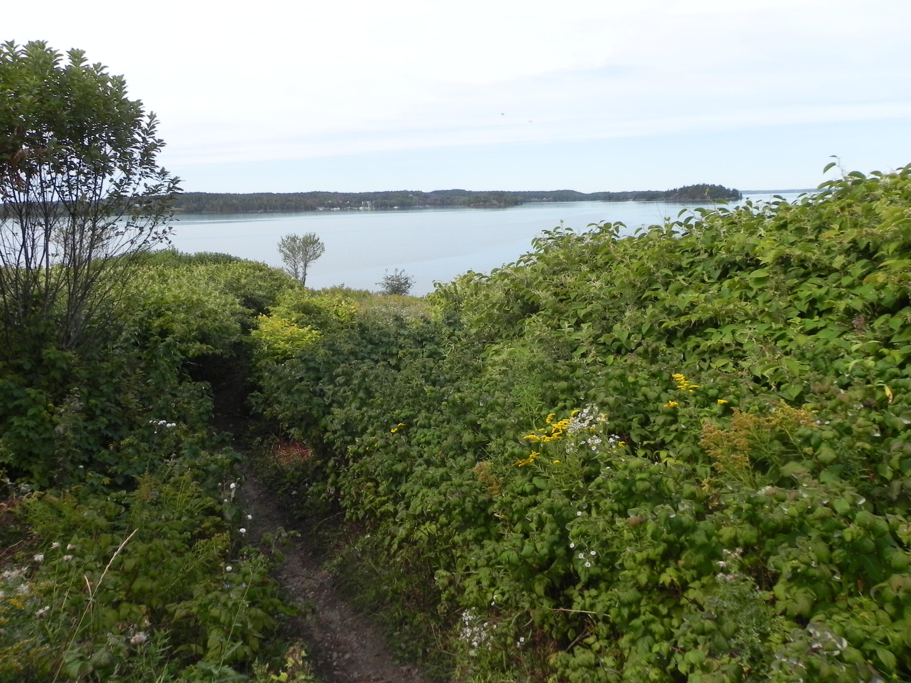 225 County Road, Lubec, ME, 04652