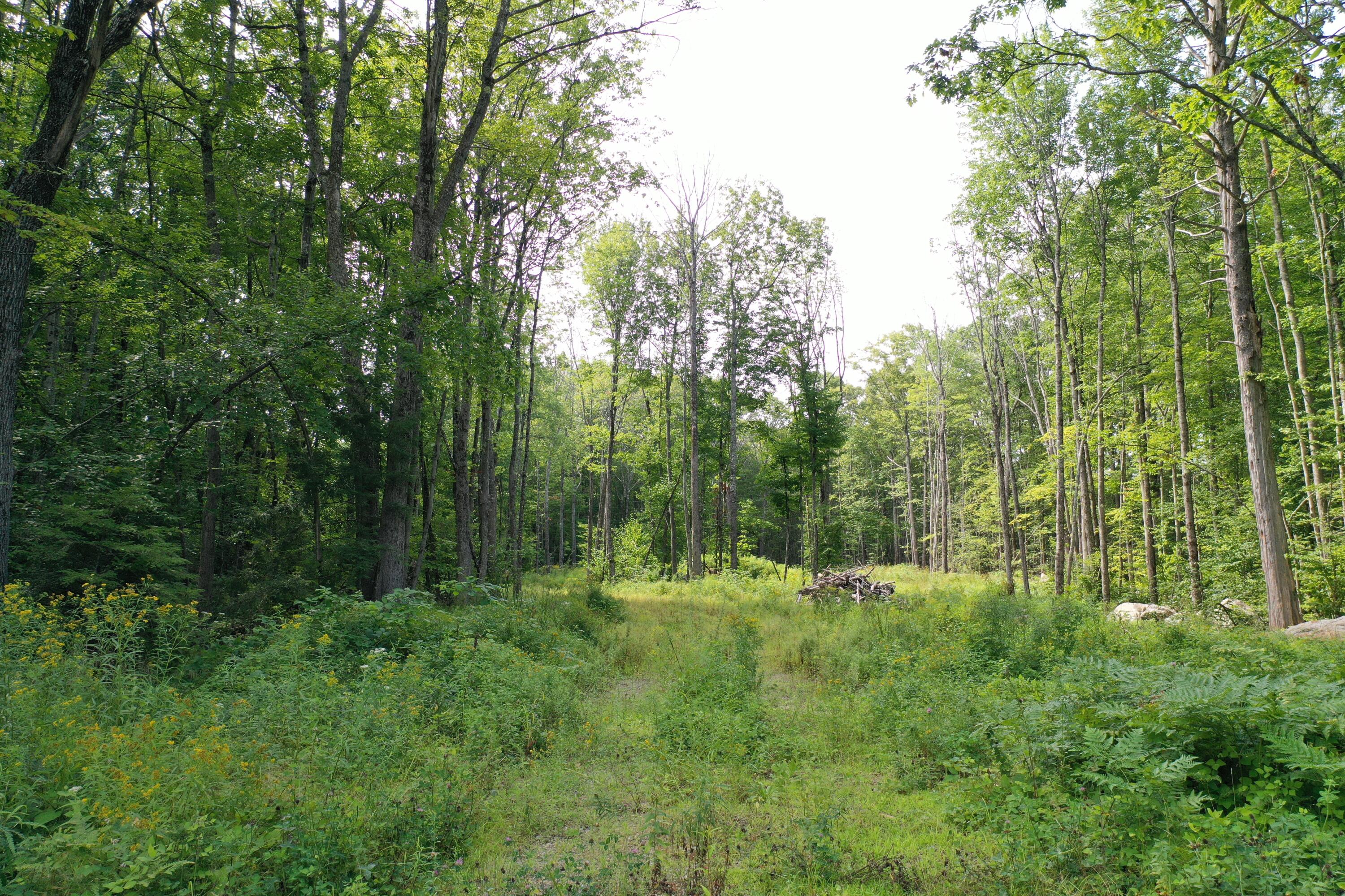 Photo of 255 Ross Corner Road Shapleigh ME 04076