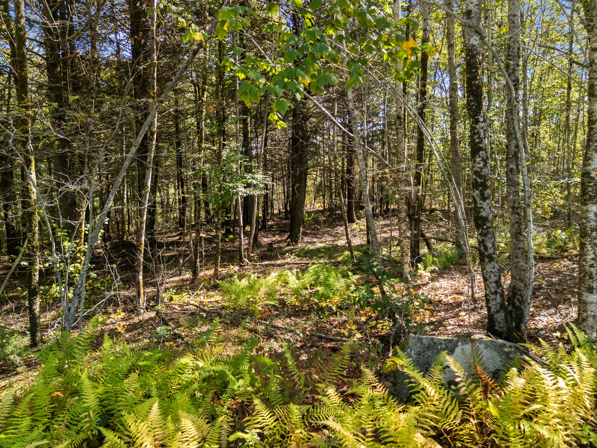Lot UNIT&nbsp;1 Millay Lane, Union, ME, 04862