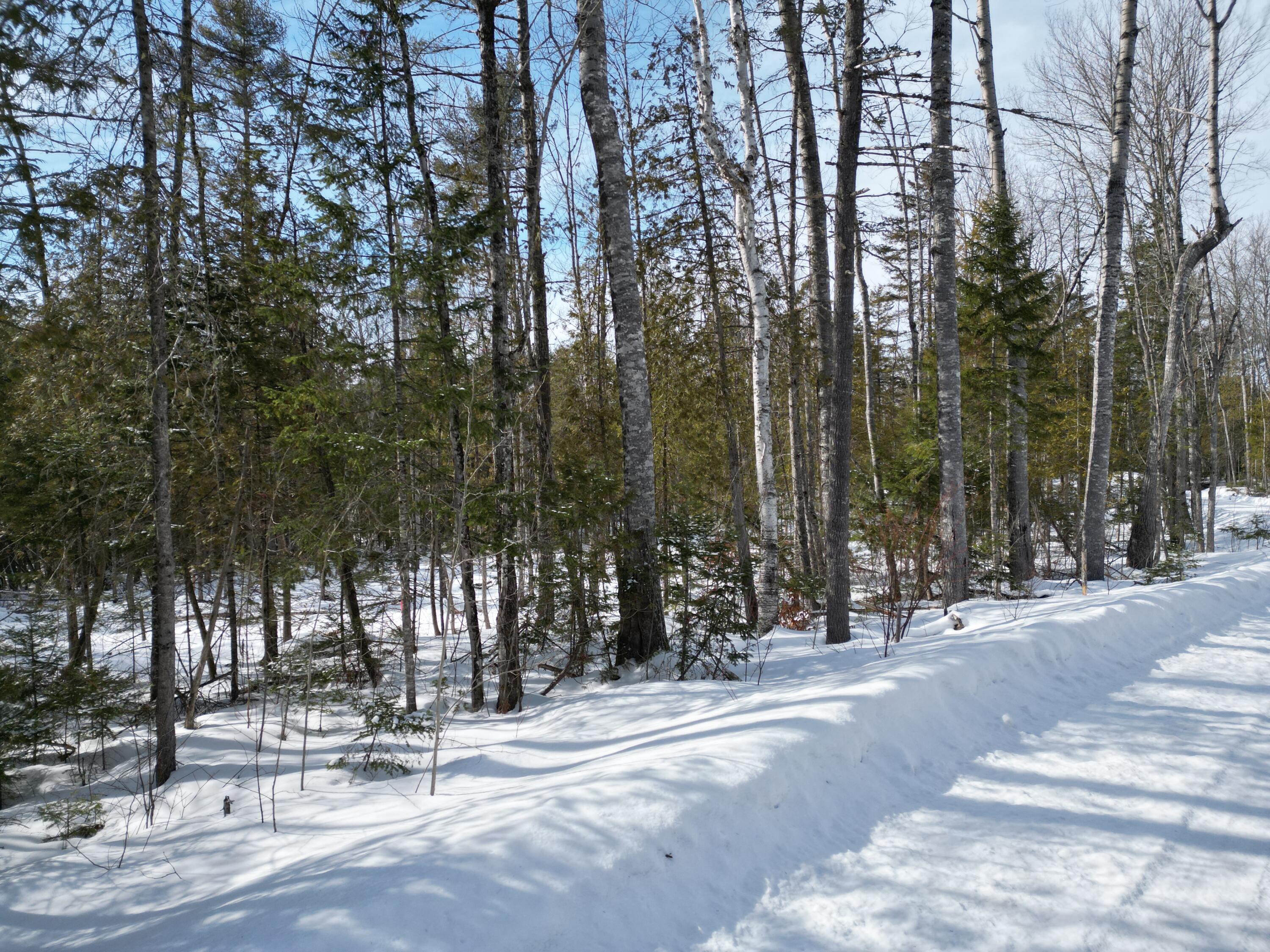 8 Twin Springs Lane, Lincoln, ME, 04457