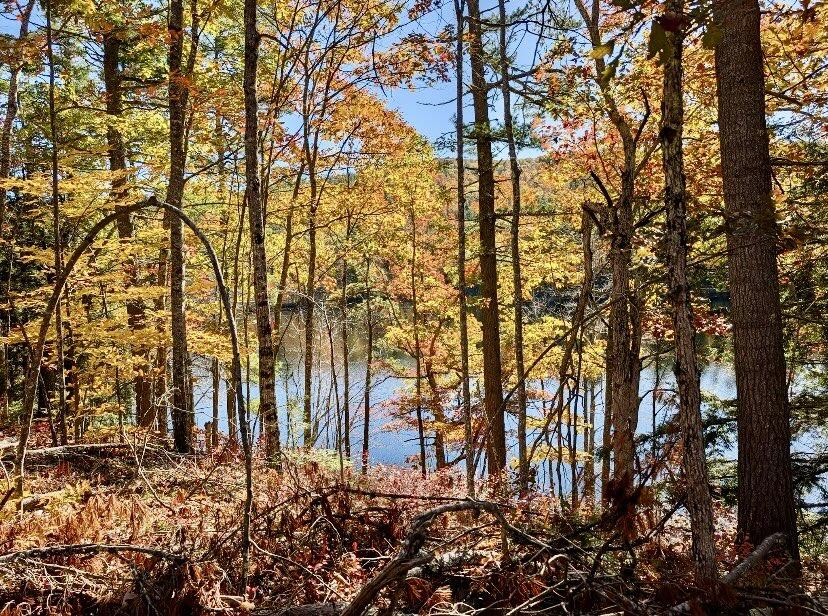 Photo of 00 Brownfield Road Hiram ME 04041