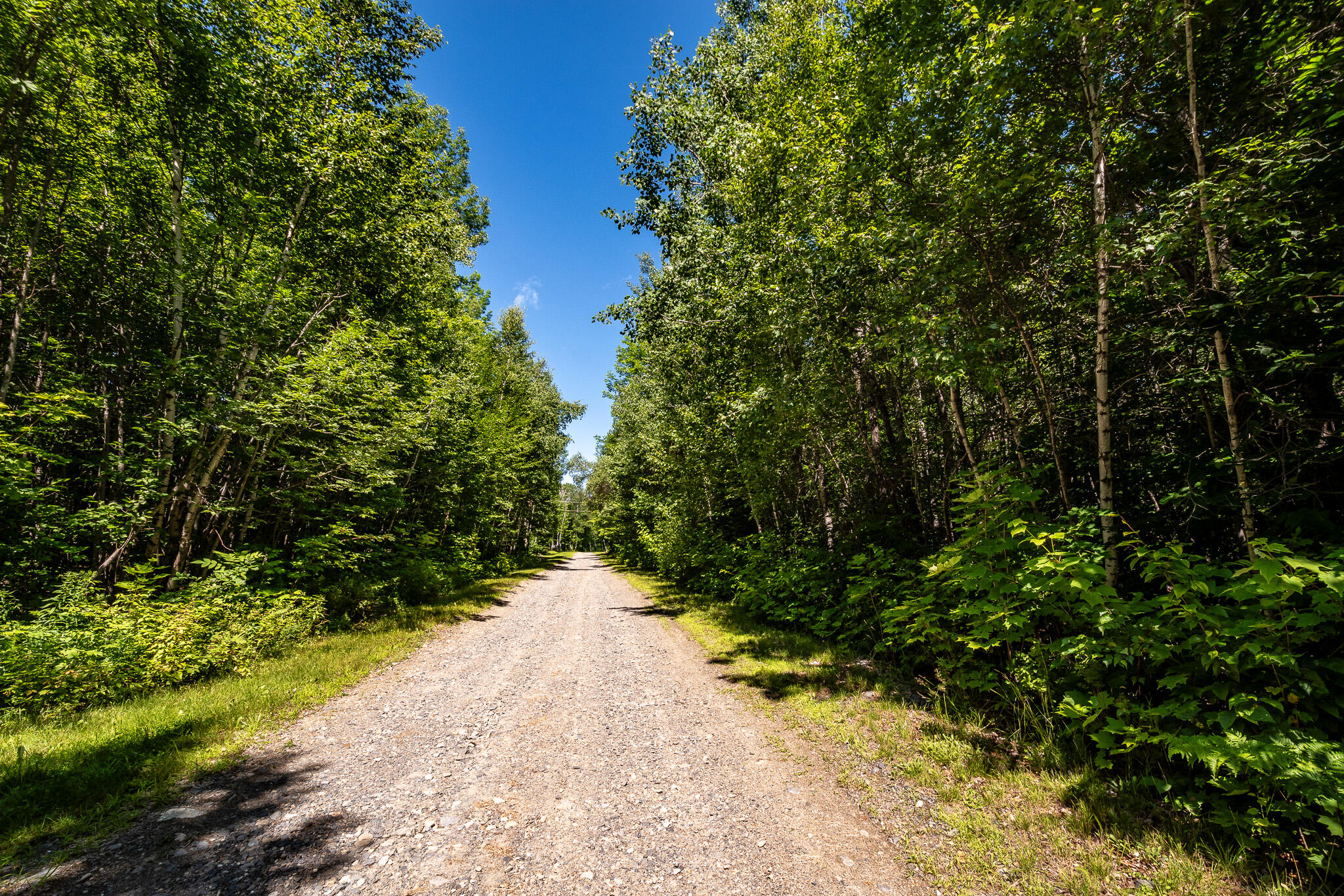 Lot 18-5 Woodland Lane, #Map 2, Brownville, ME 04414 DSC_0277