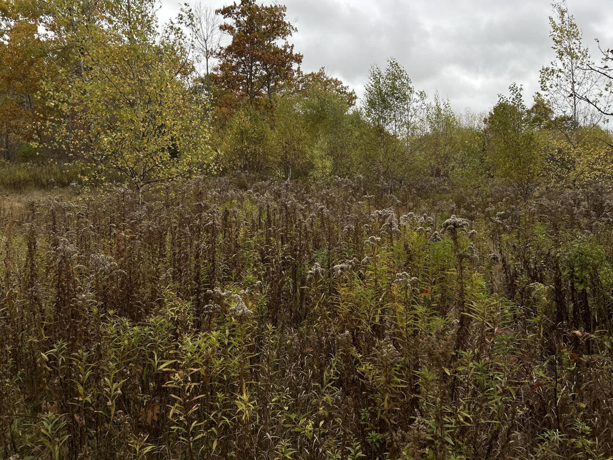 M4L18 Bog Road, Jackson, ME, 04921