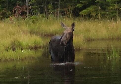 TBD Paradise Lane, Tomhegan Twp, ME, 04478