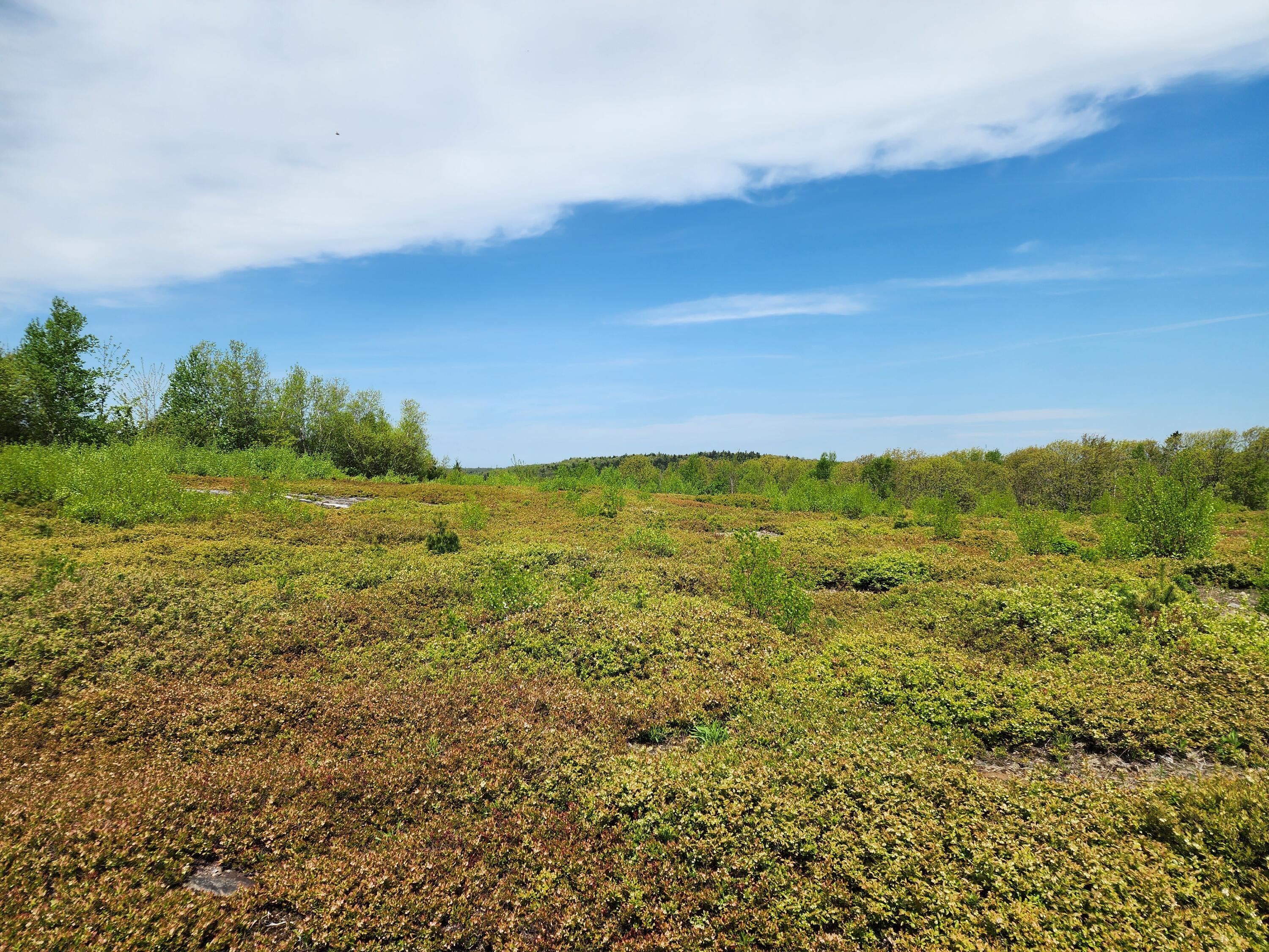 3 Whispering Berries Hill, Liberty, ME, 04949