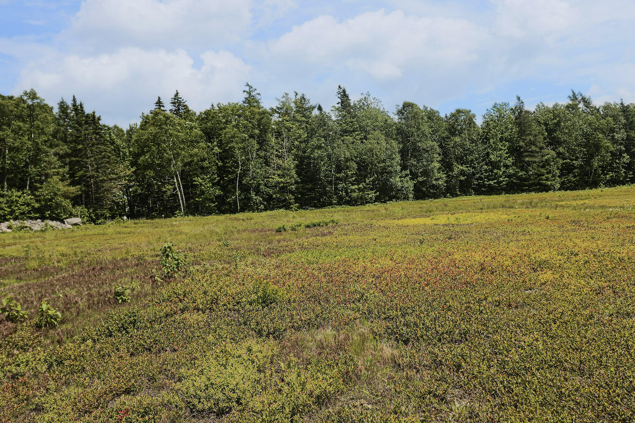 MAP13LOT9 Martins Ridge Road, Franklin, ME, 04634