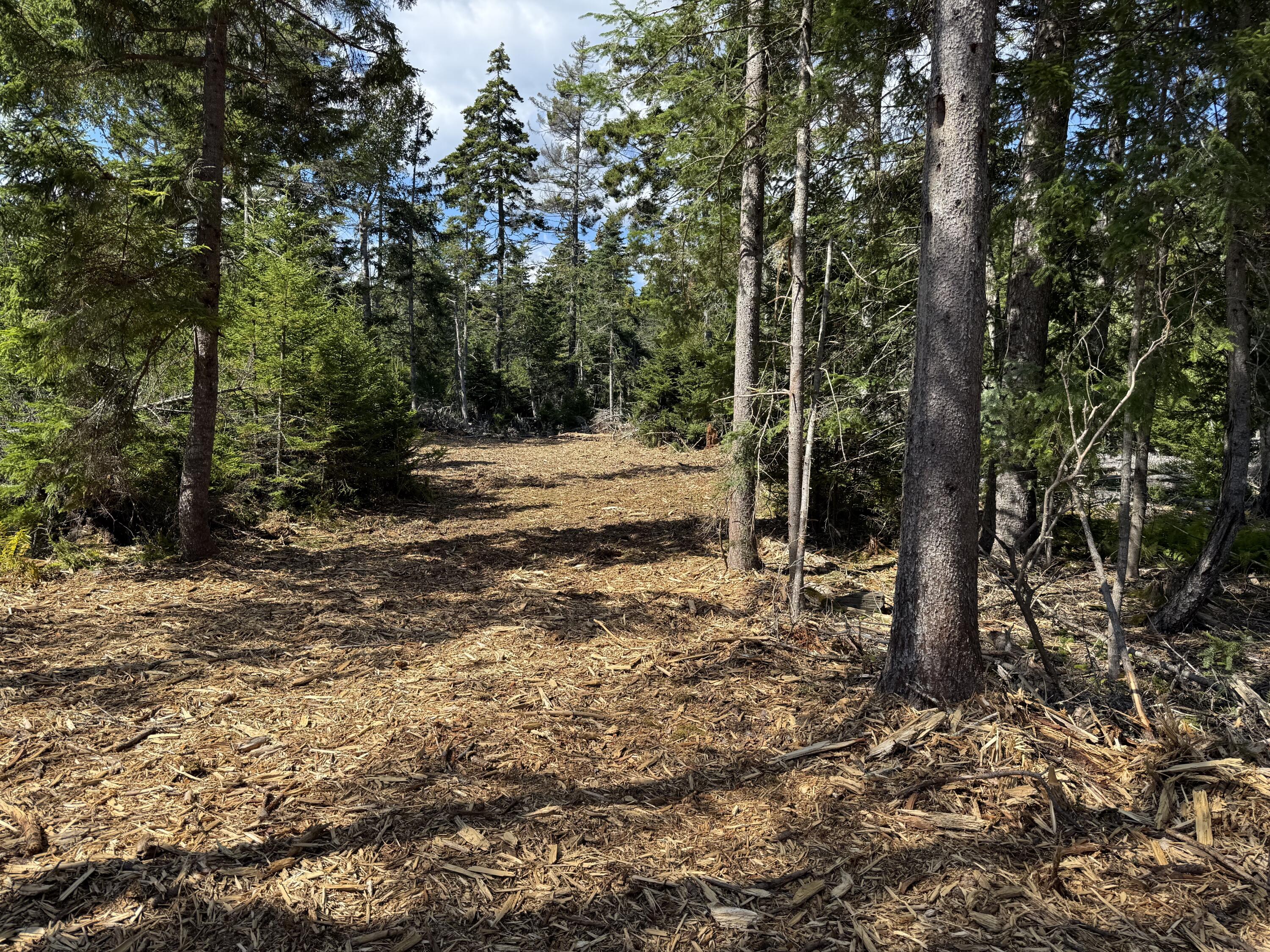 1552 Turtle Head Road, Islesboro, ME, 04848