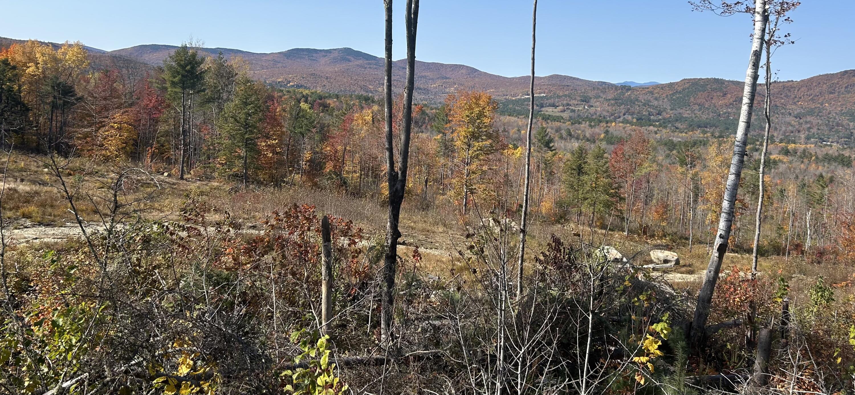 0 High Street, Peru, ME, 04290